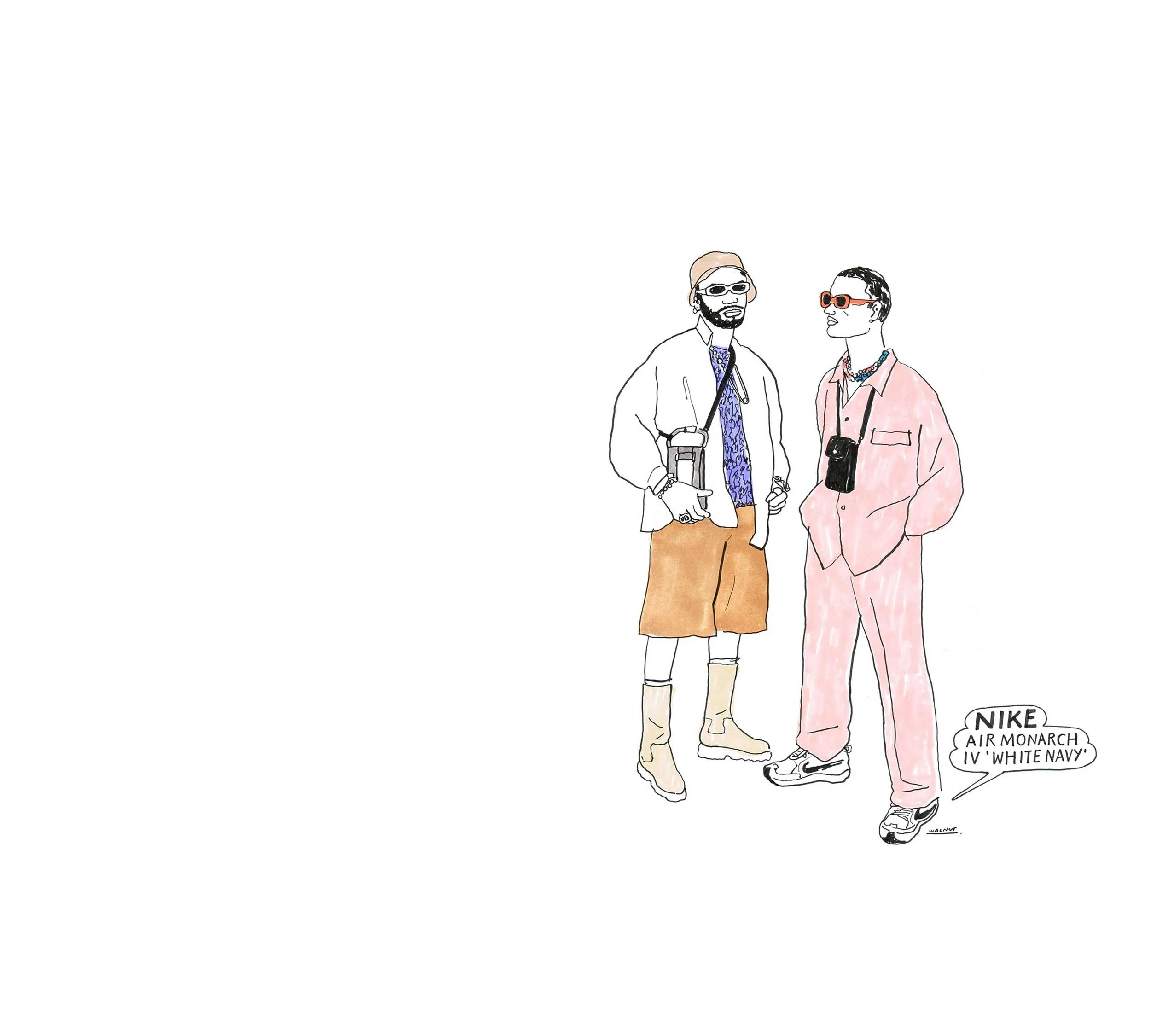 Walnut Illustrations