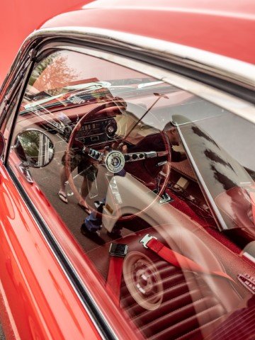 P3191172 copy.jpg