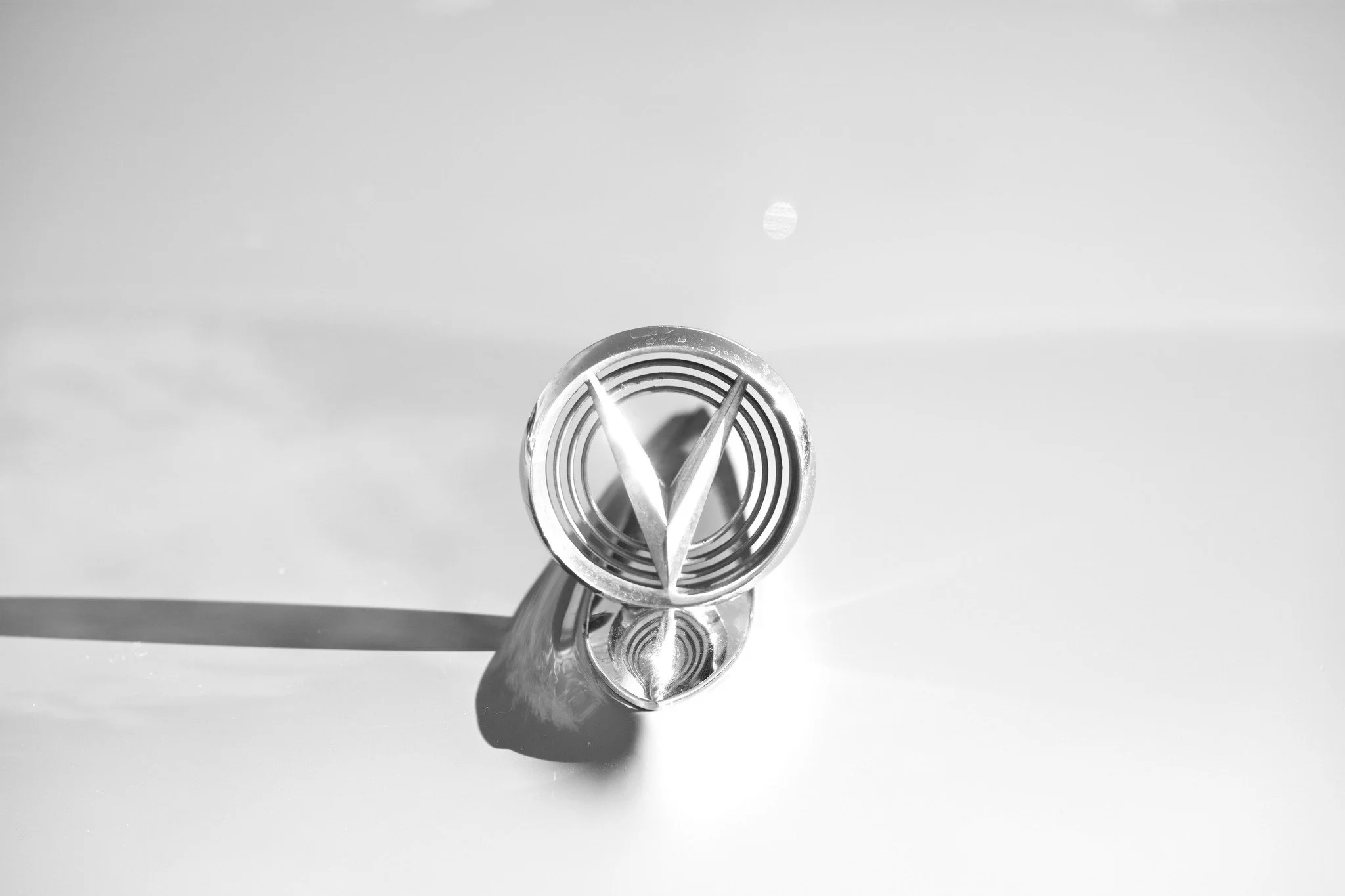 648670009_4146267758850249_3652745479926522491_n.jpg