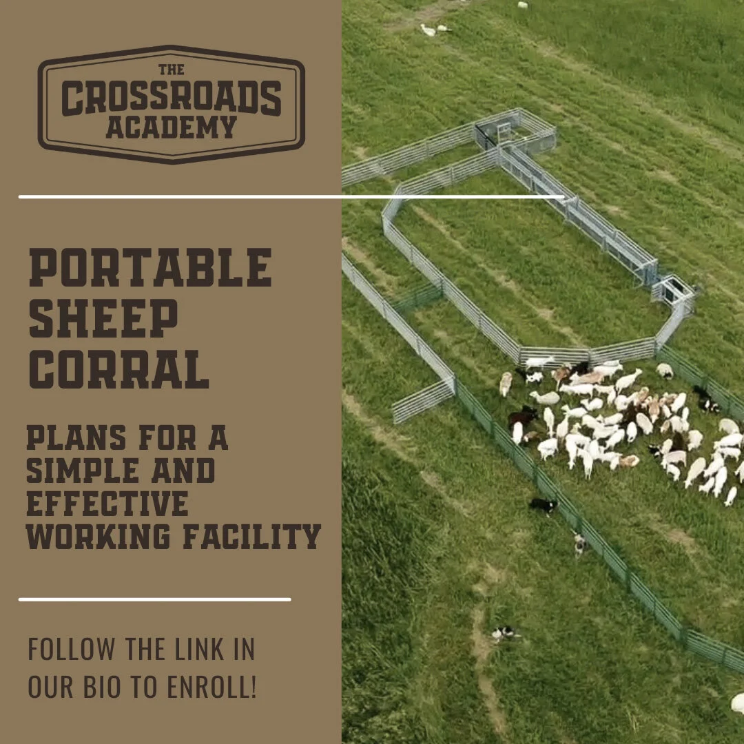 Crossroads Land + Livestock