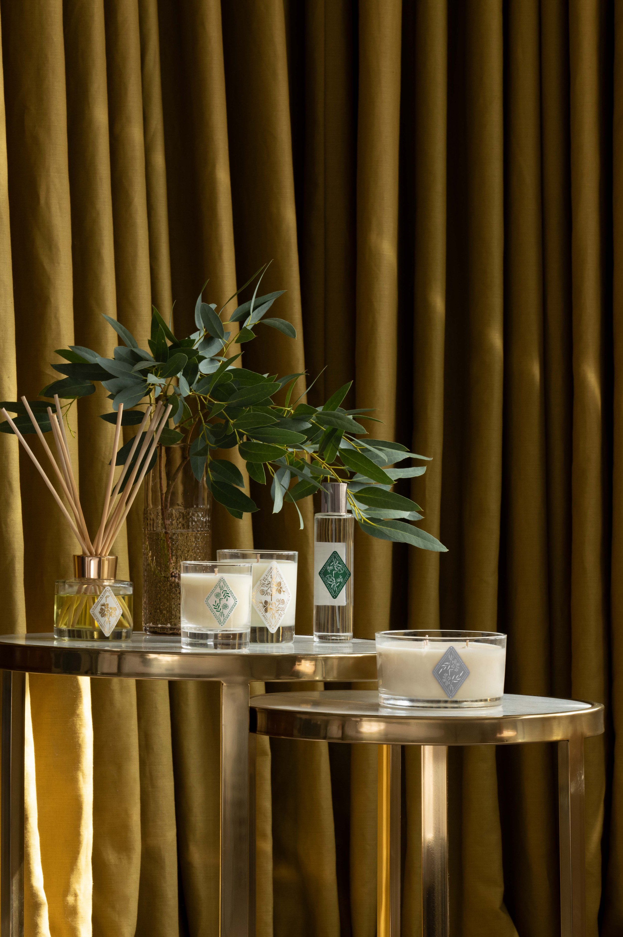 Fenwick at Home shot by Company Motion.