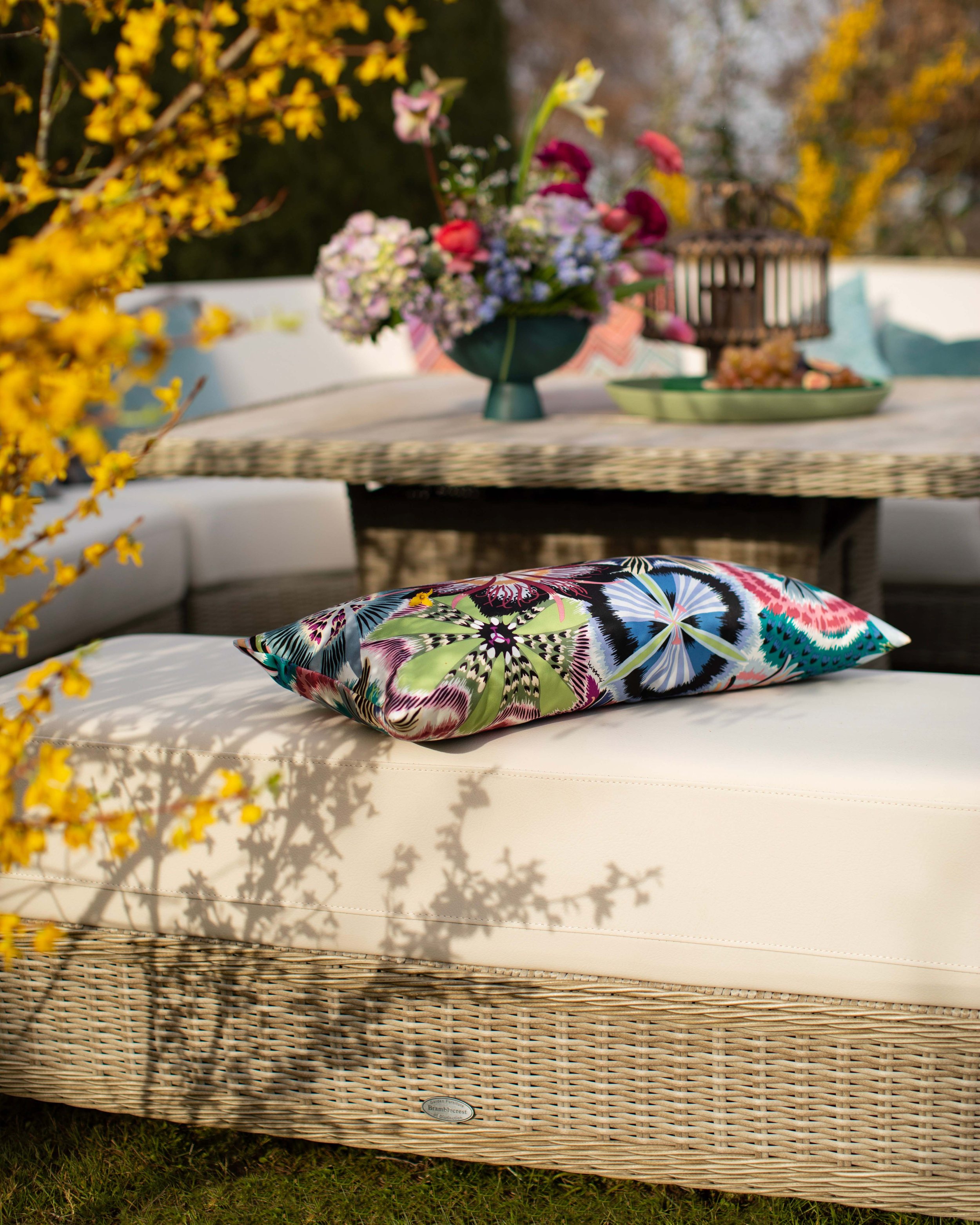 Bramblecrest - close up with cushion.jpg