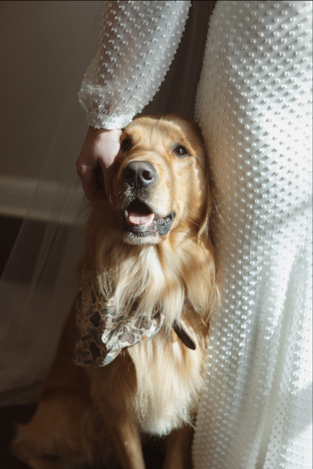 Screenshot 2026-04-27 at 3.20.29 PM.png