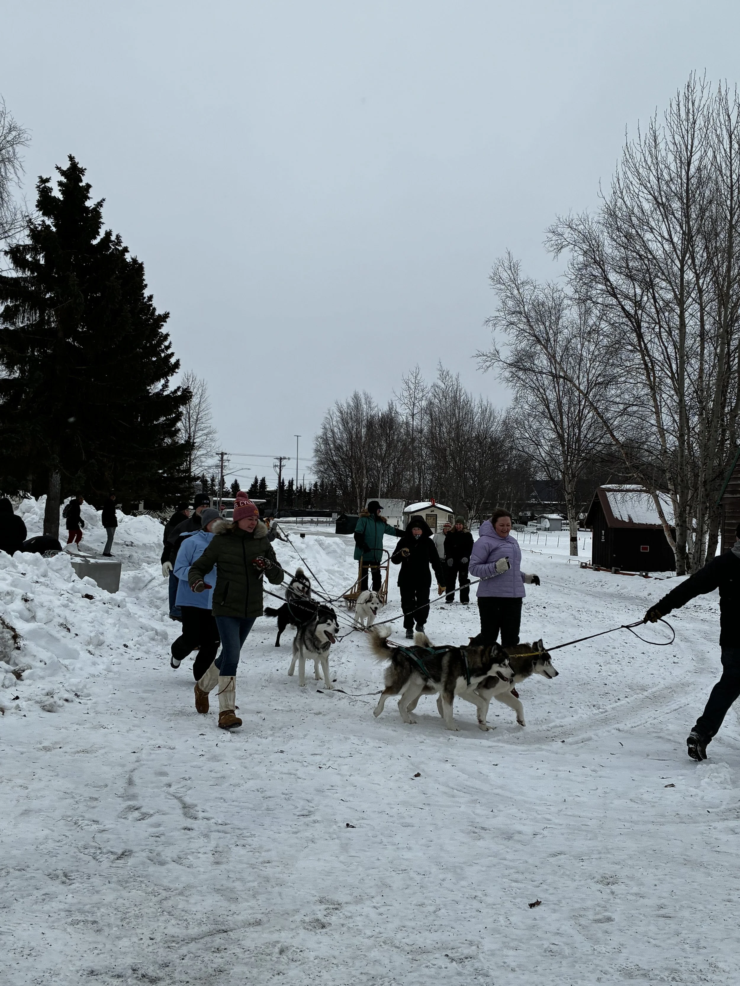 Iditarod: Day 3