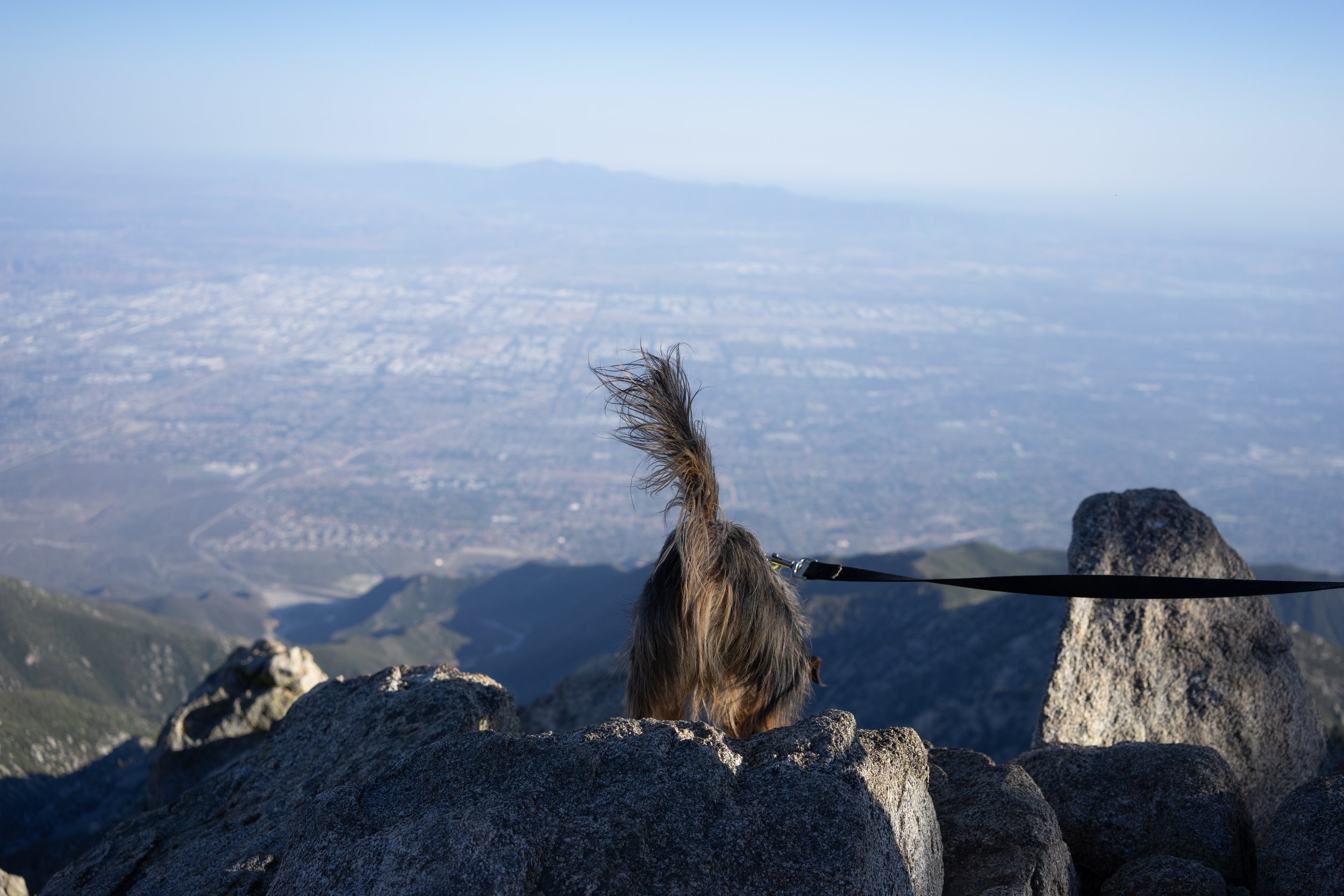 Cucamonga Peak