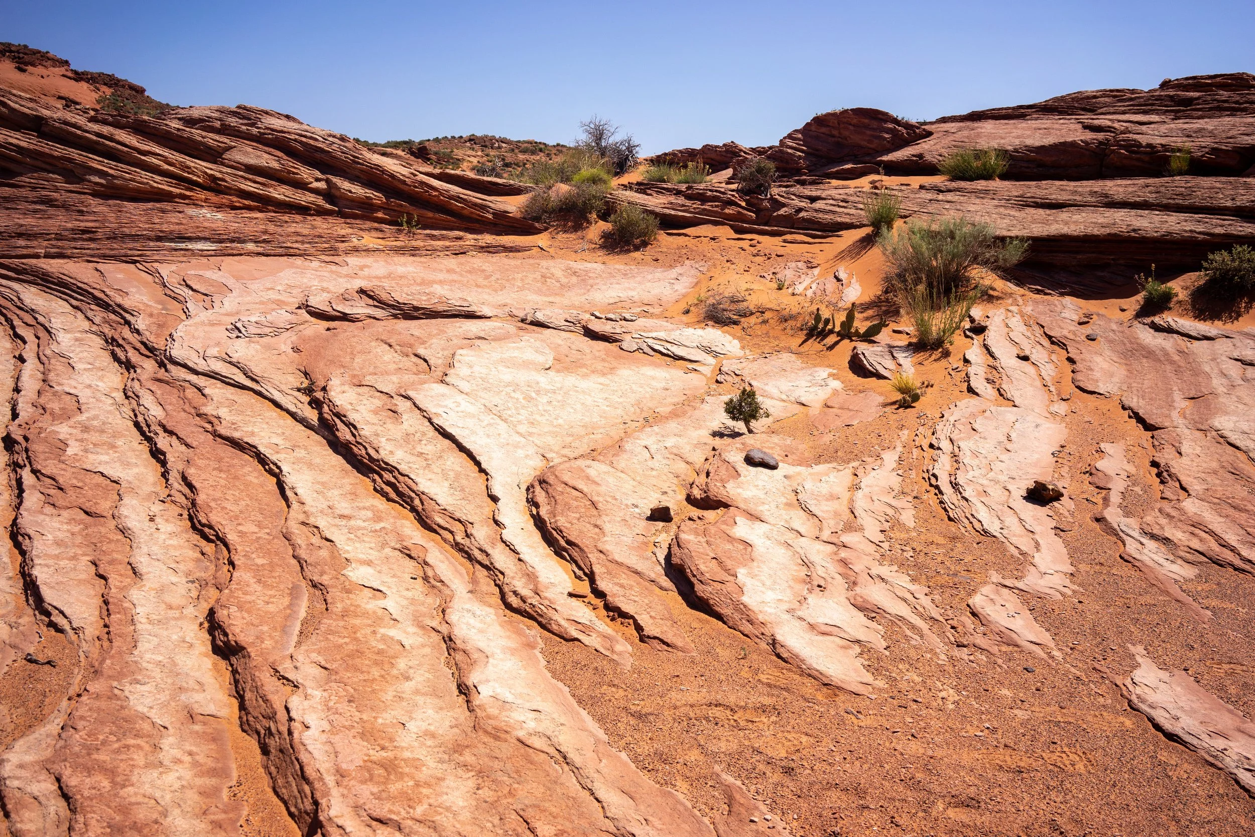 _DSC9309.jpg