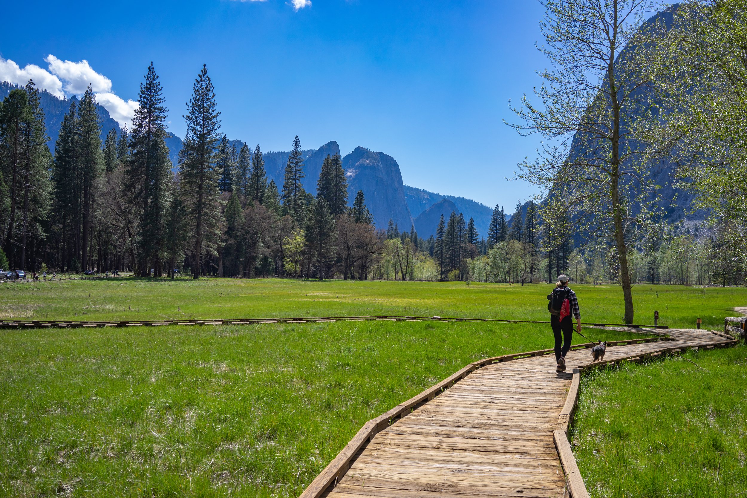 Yosemite National Park