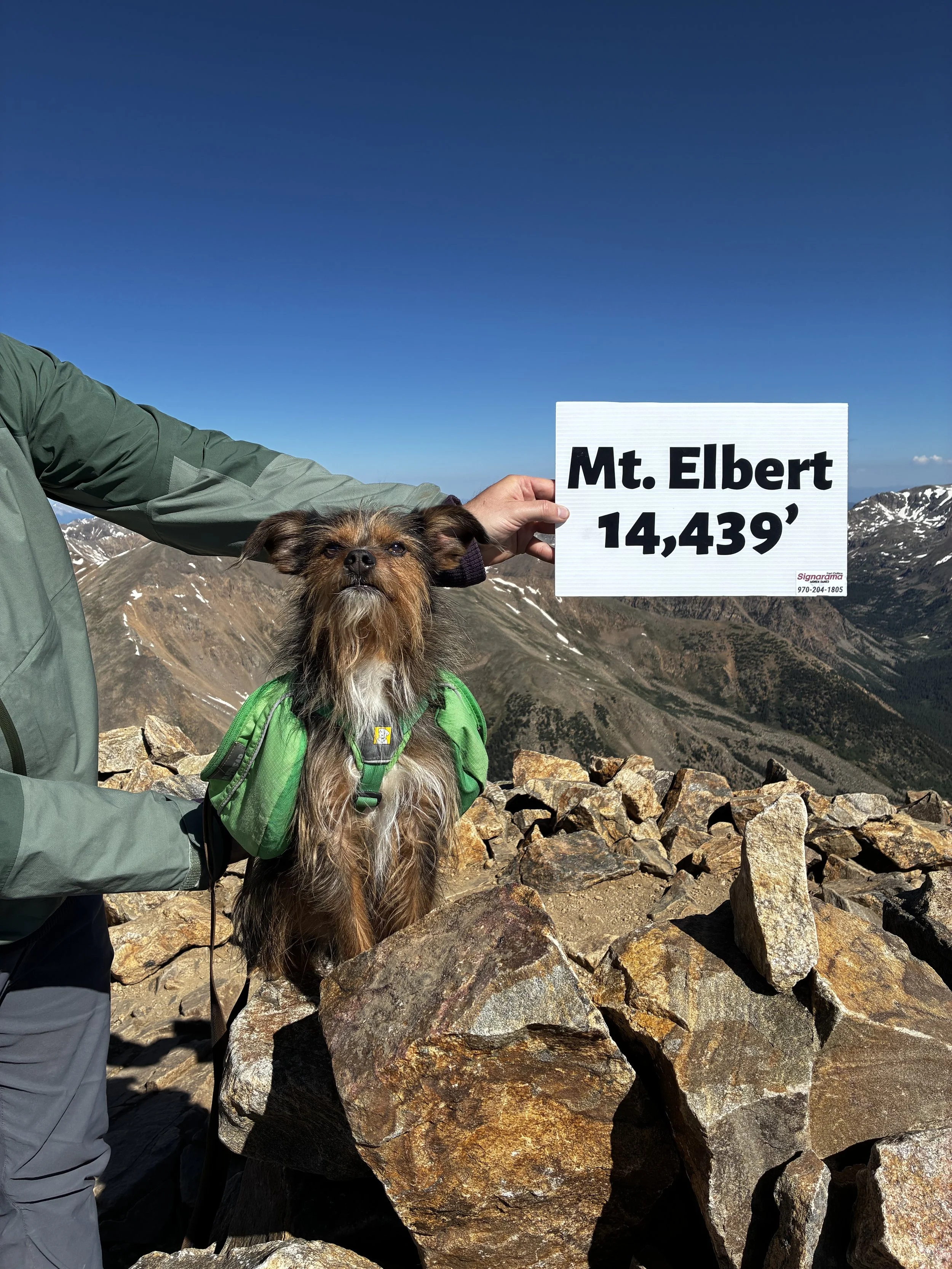 Mount Elbert