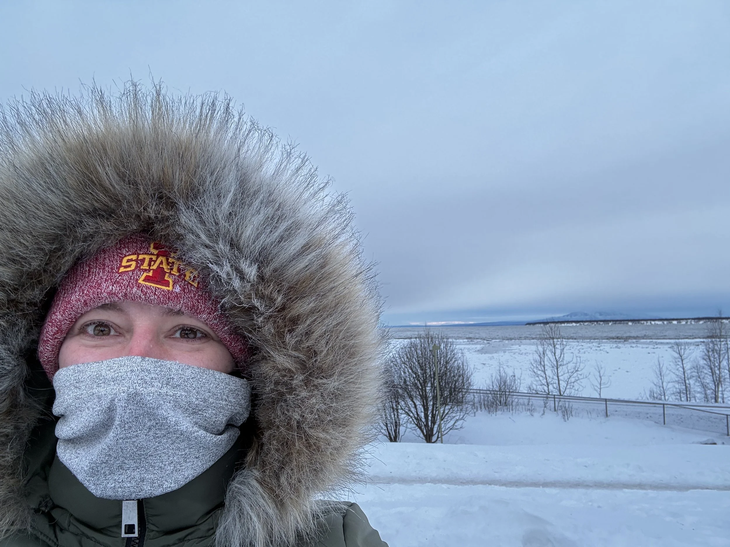 Iditarod: Day 2