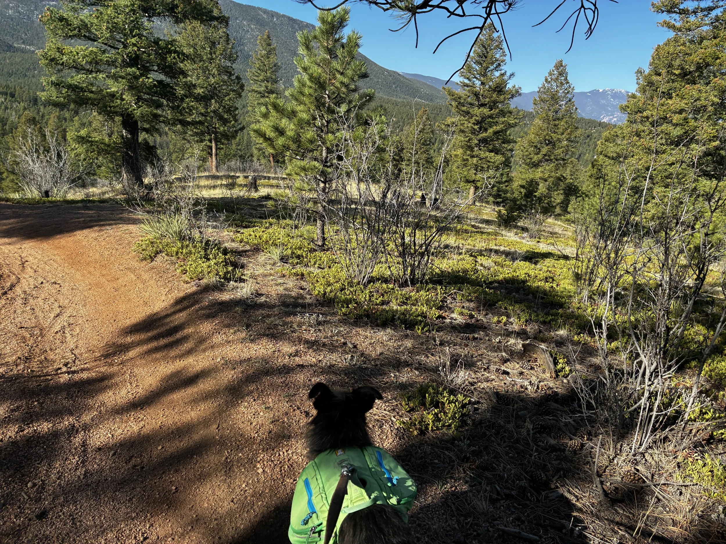 Colorado Trail: Segment 3