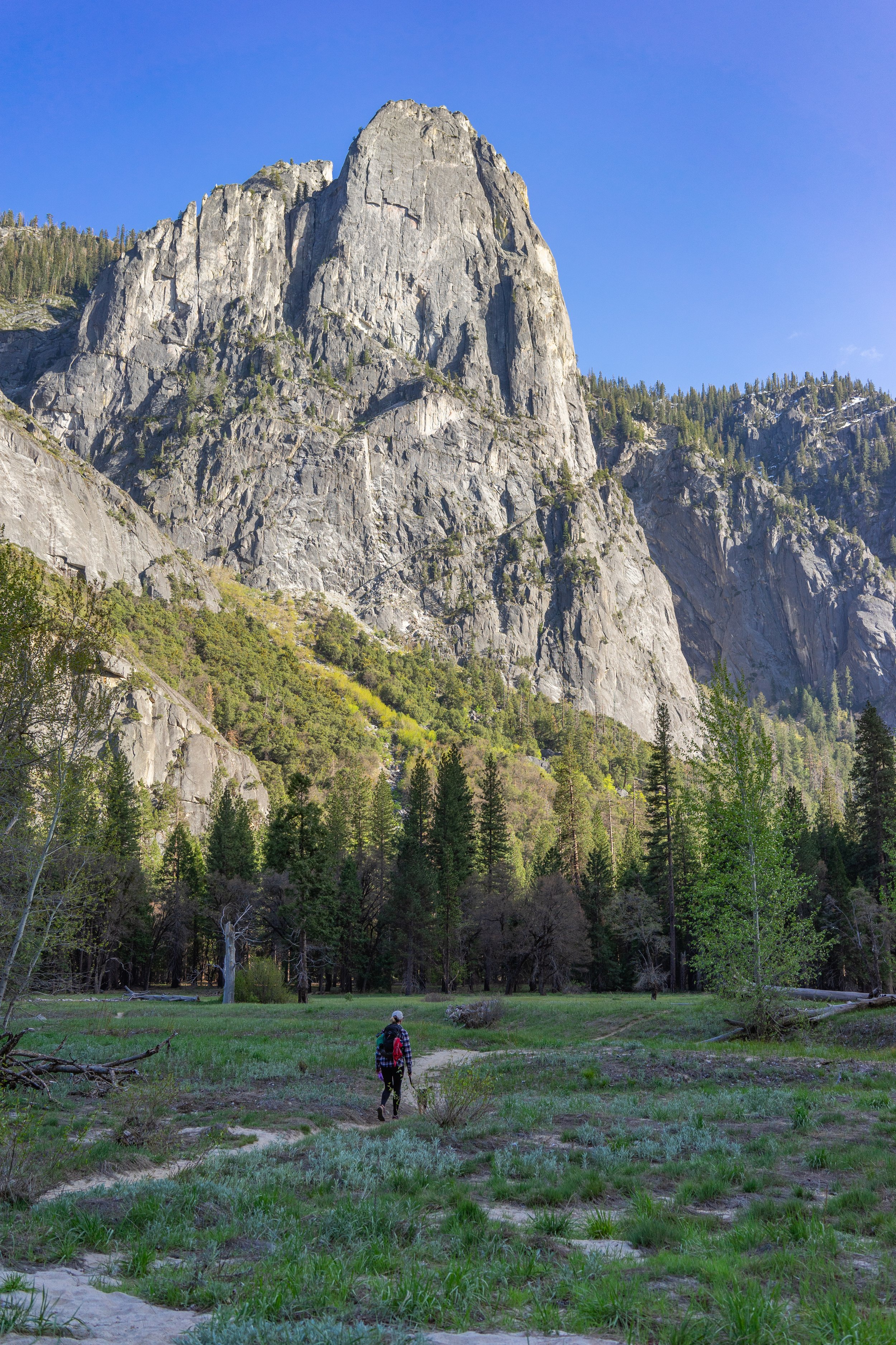 Yosemite National Park