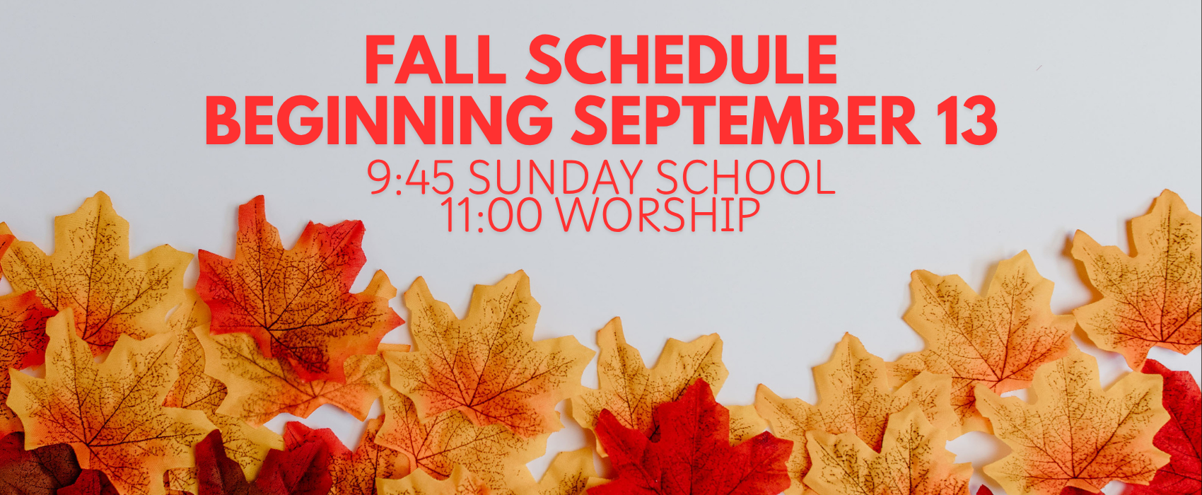 Regular Schedule (1).png