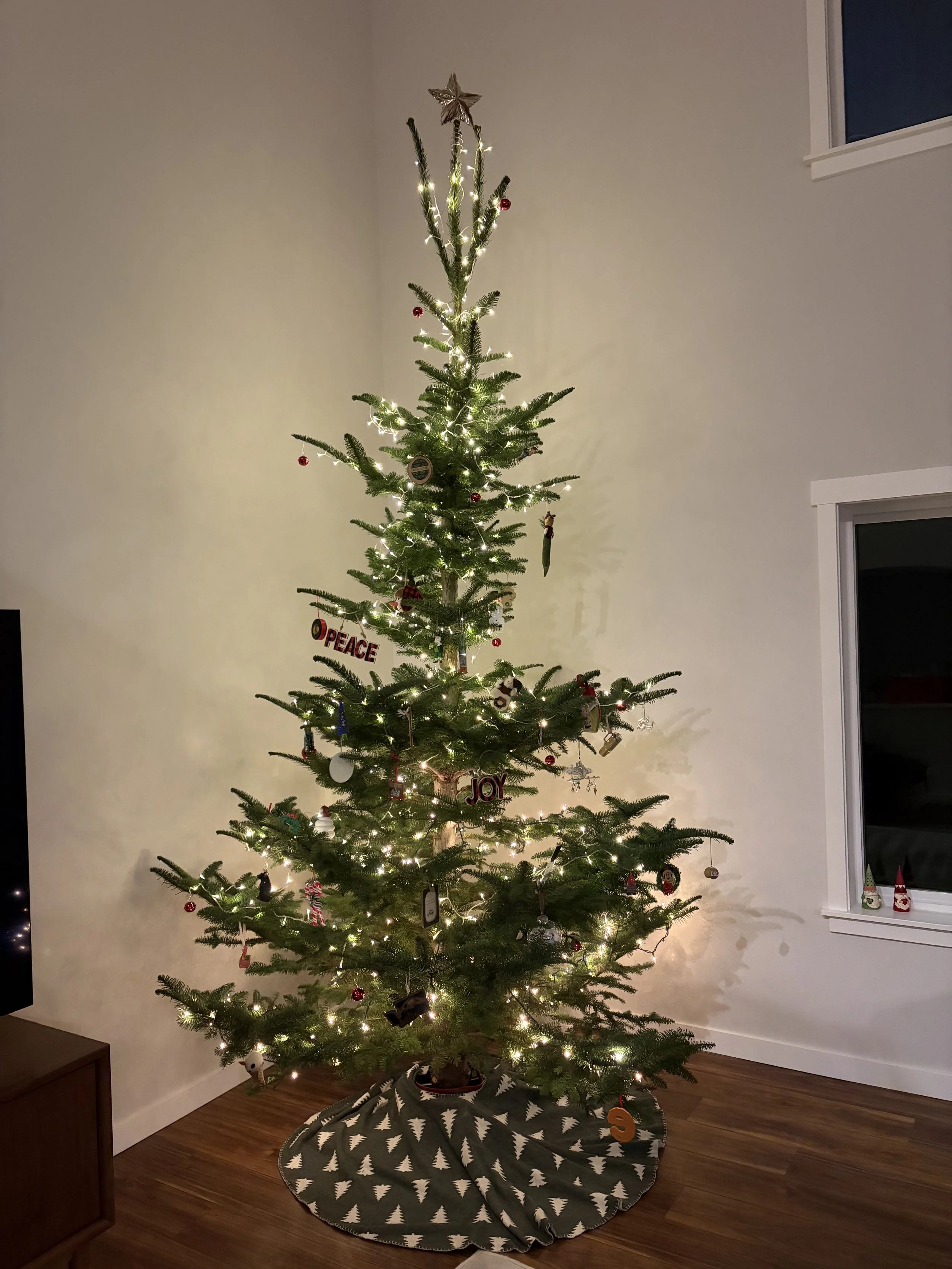 Laue Christmas Tree Farm Skagit County Brand G Creative 10 DEC 2025 (1).jpeg