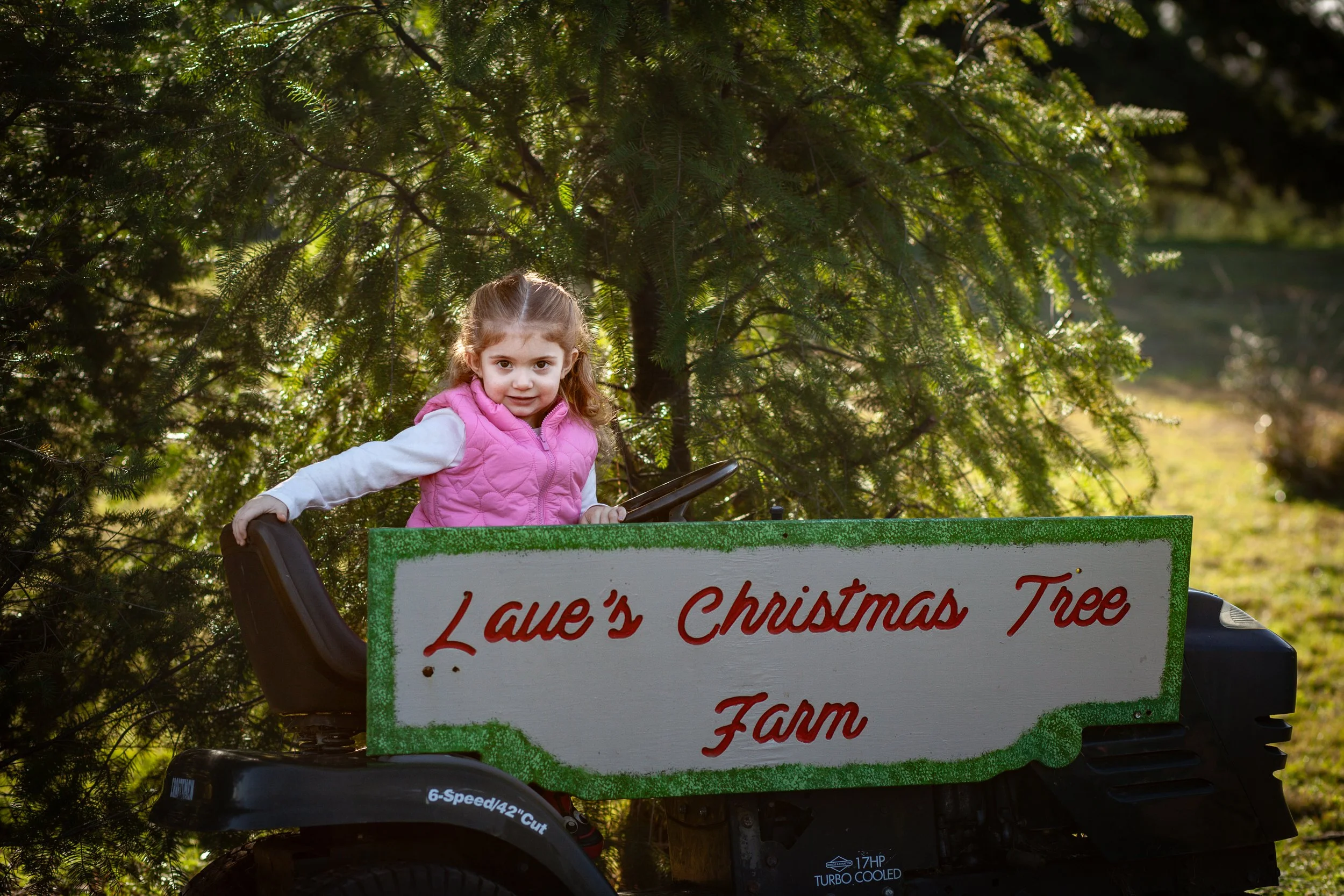Laue Christmas Tree Farm Skagit County Brand G Creative 10 DEC 2025 (1).jpg