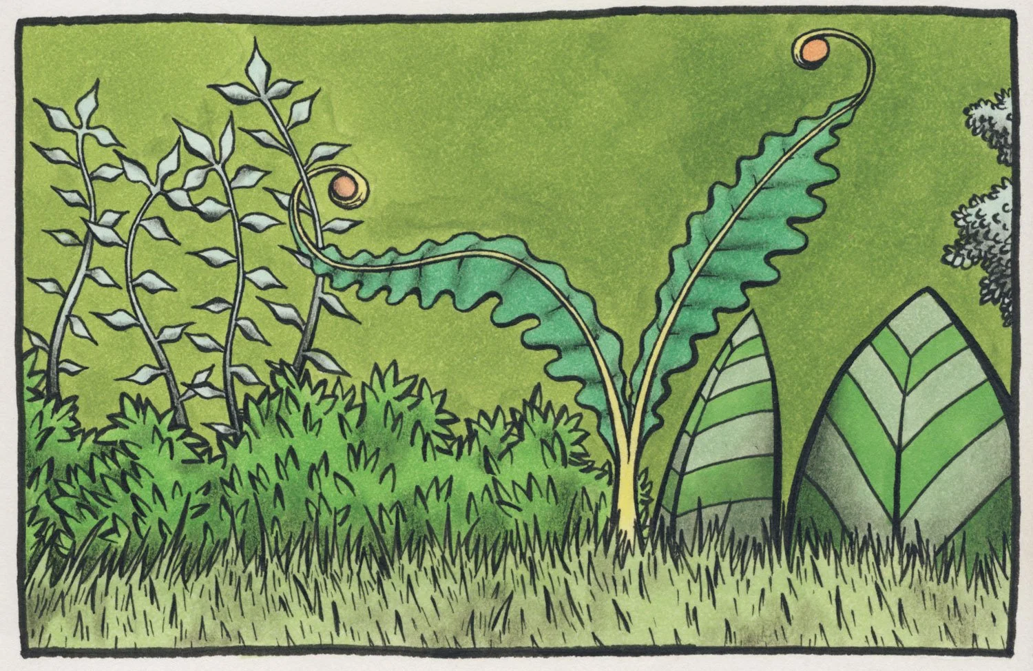 forest-panel-web.jpg