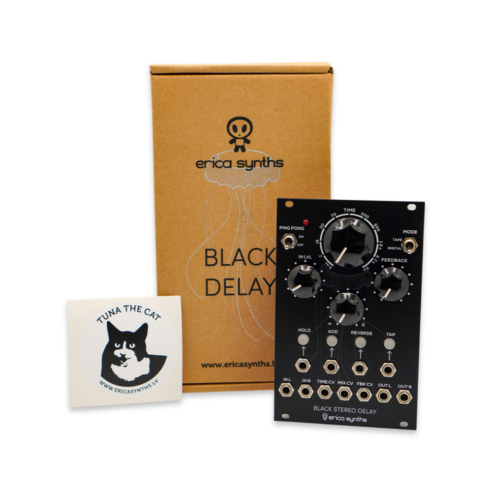 Black Stereo Delay by Erica Synths — Triangle Core Rocks
