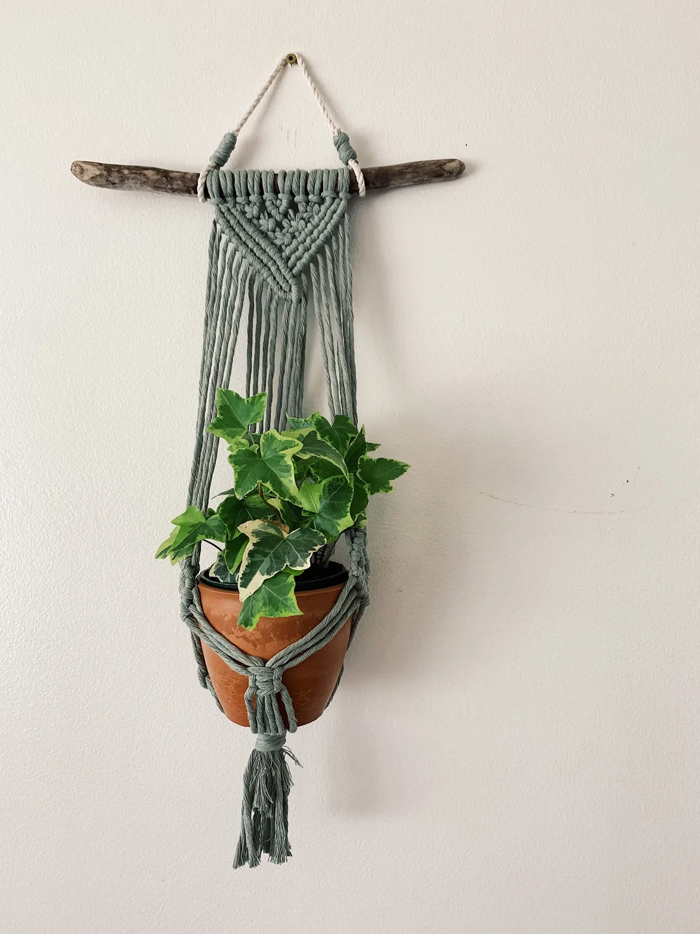 macrame plant hanger near me Your Favorite Macrame Plant Hangers – Lone Fox
