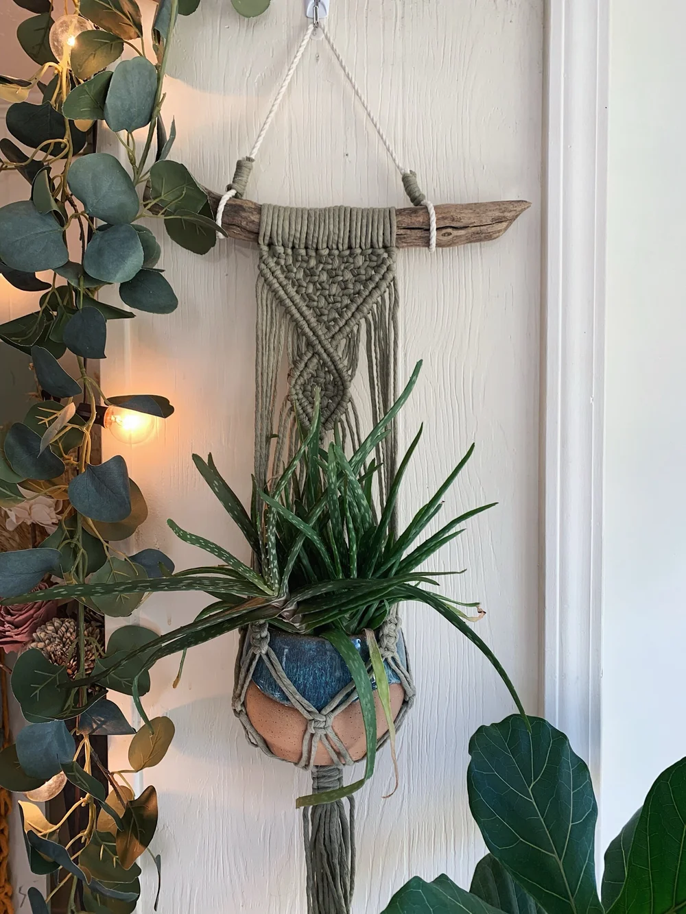 Driftwood Plant Hanger  Meraki Macrame