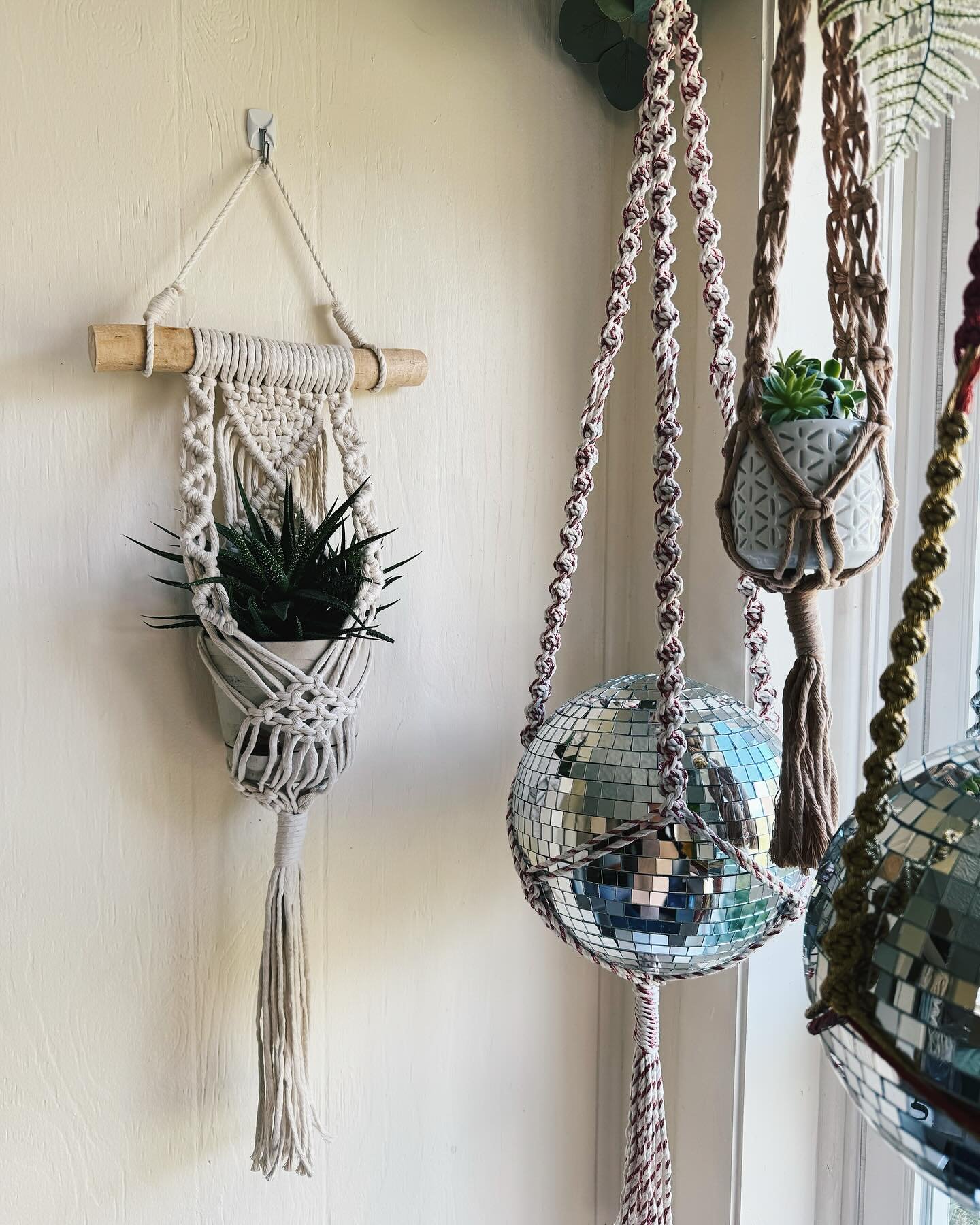 🪴🤍Oh to be a plant on the wall🤍🪴

The driftwood plant hangers are always a favorite, and these two are certainly upping the plant hanger game! They are on their way to their new home, and I can&rsquo;t wait for them to be homes to new plant babie