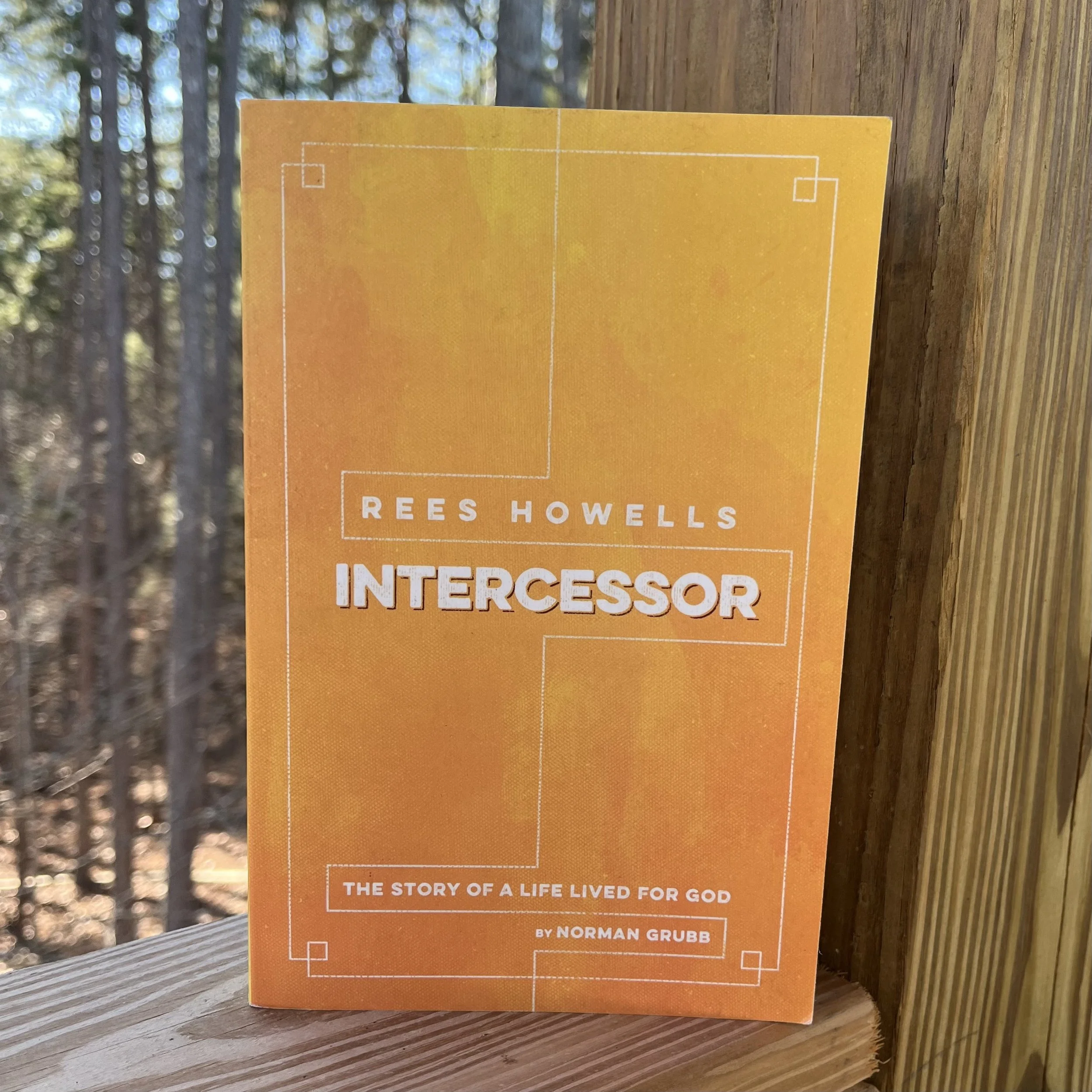 Intercessor
