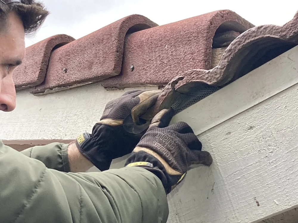 Residential Pest Control Services Main Creek Pest Solutions Fresno CA — Main Creek Pest