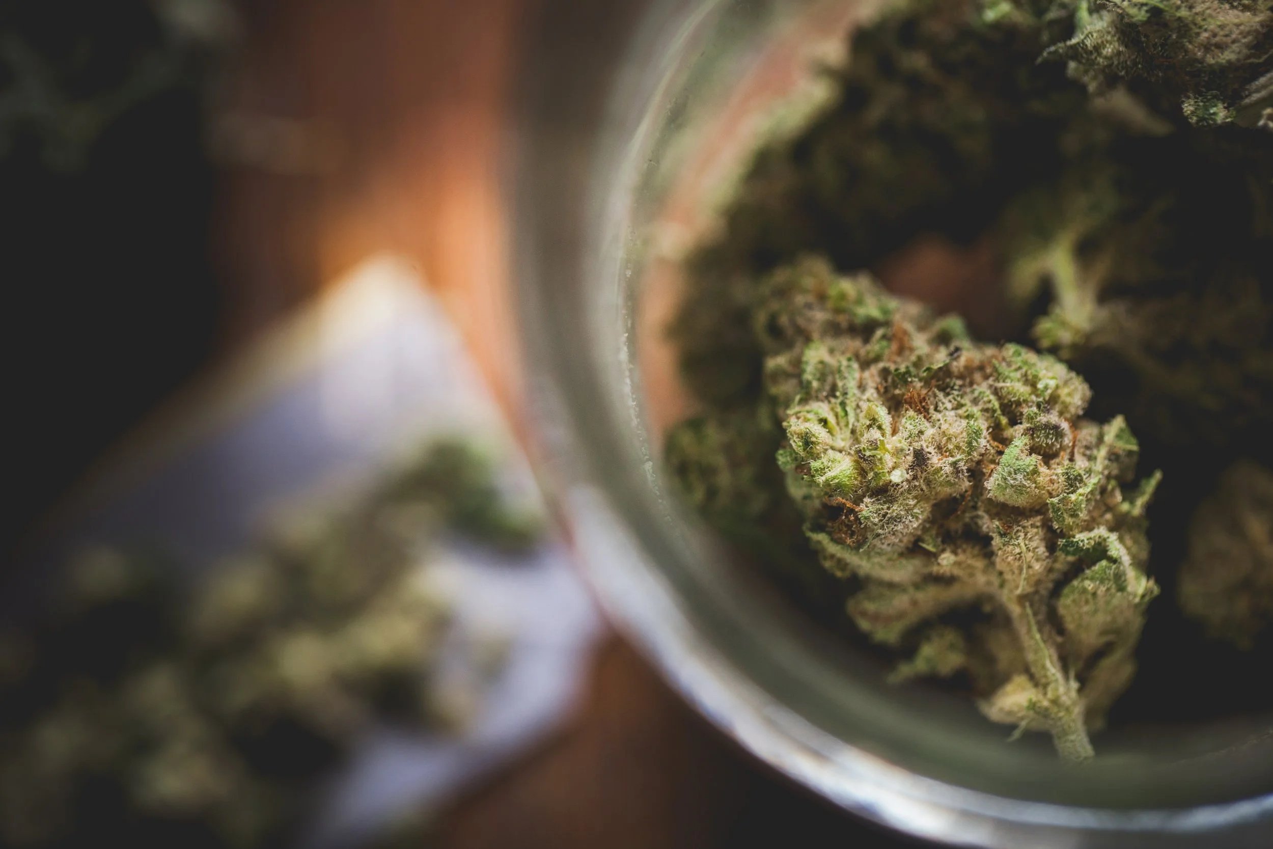 Guide to Using Medicinal Cannabis in New Zealand
