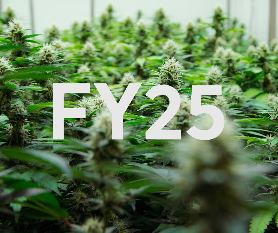 FY25 Annual results