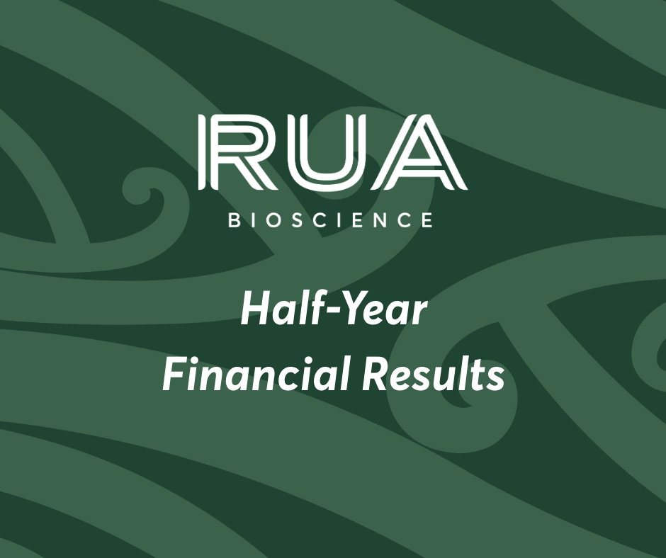 Half-Year Financial Results: Significant sales revenue growth