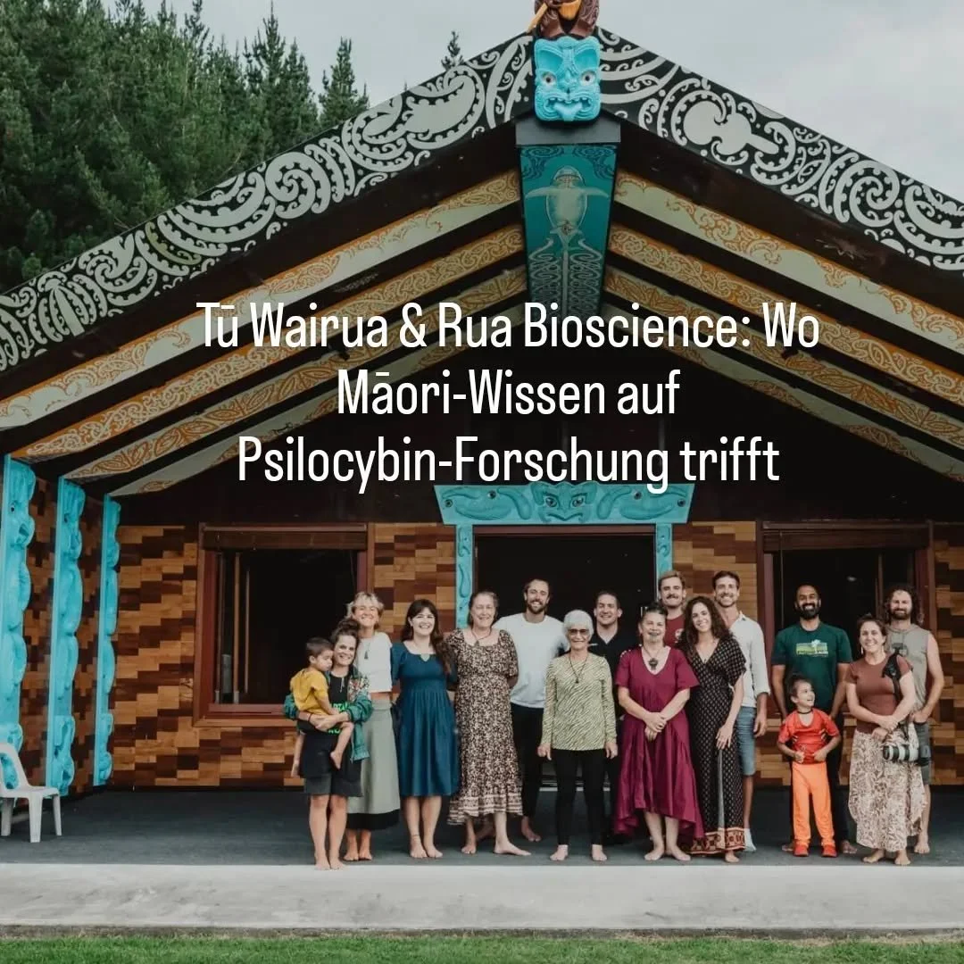 Wenn Wissenschaft auf Weisheit trifft - Tū Wairua &amp; Rua Bioscience

In Aotearoa (Neuseeland) entstand mit Tū Wairua eine Māori-gef&uuml;hrte Forschungskooperation, die moderne Gesundheitswissenschaften mit Mātauranga Māori (traditionellem Wissen)