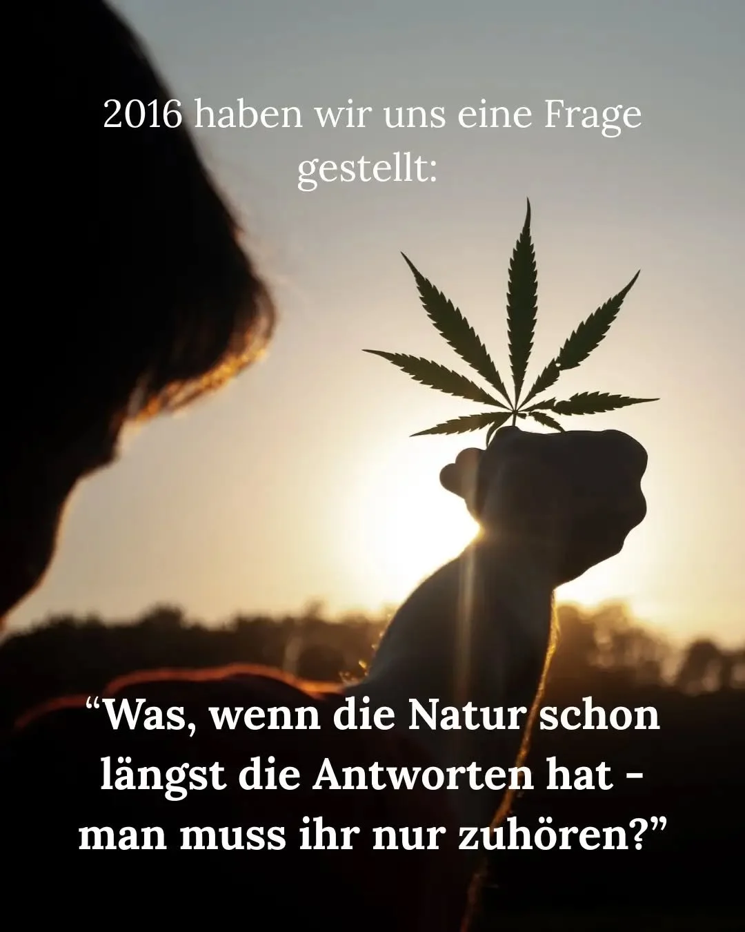 2016 haben wir uns eine Frage gestellt:
Was, wenn die Natur schon l&auml;ngst die Antworten hat - man muss ihr nur zuh&ouml;ren? 
Aus dieser Frage wurde Rua.
Eine Idee, die wir uns zur Aufgabe gemacht haben: der Welt Zugang 
zur Kraft der Bioaktivsto