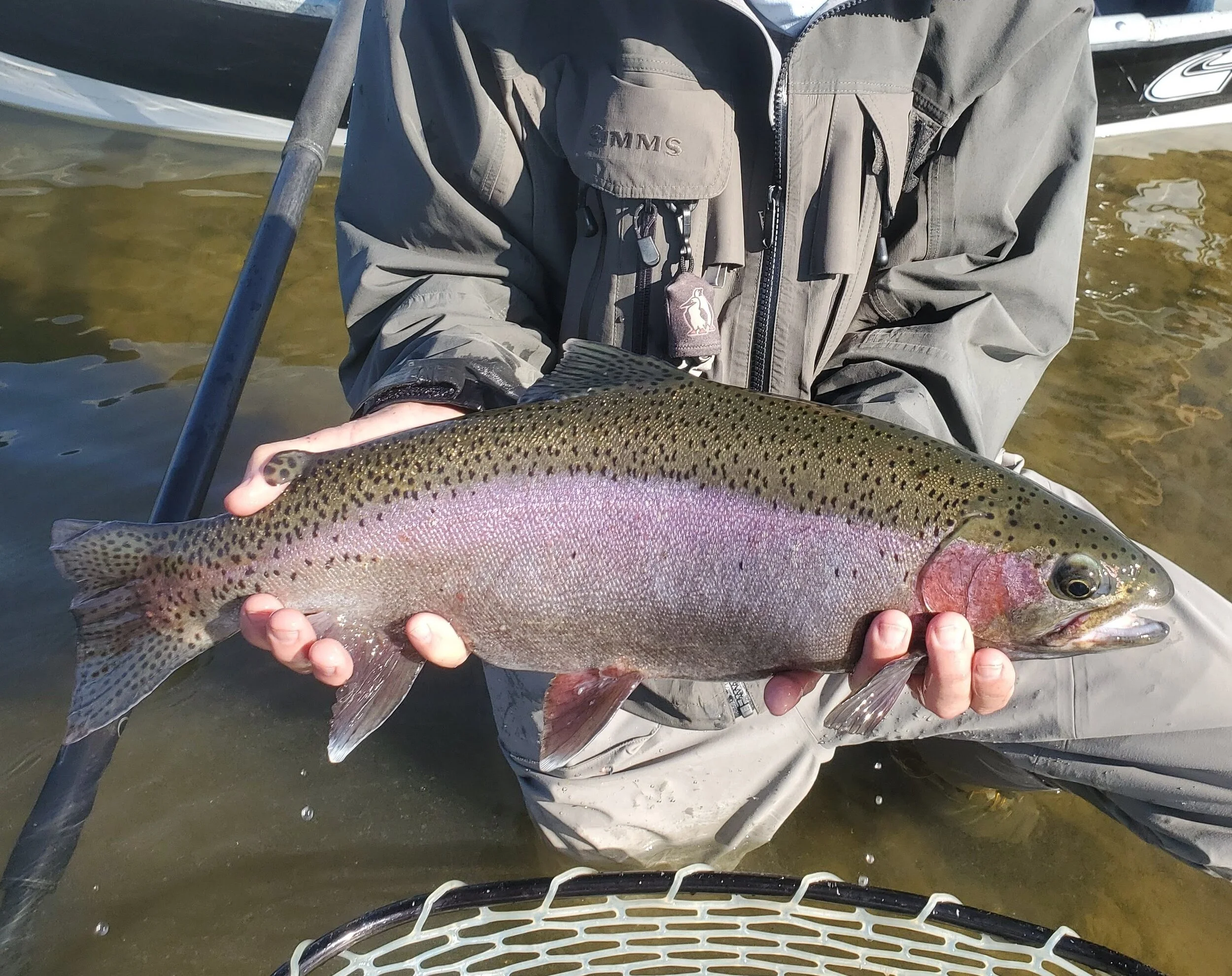 Lower Feather River Fly Fishing — Ben Thompson Outdoors