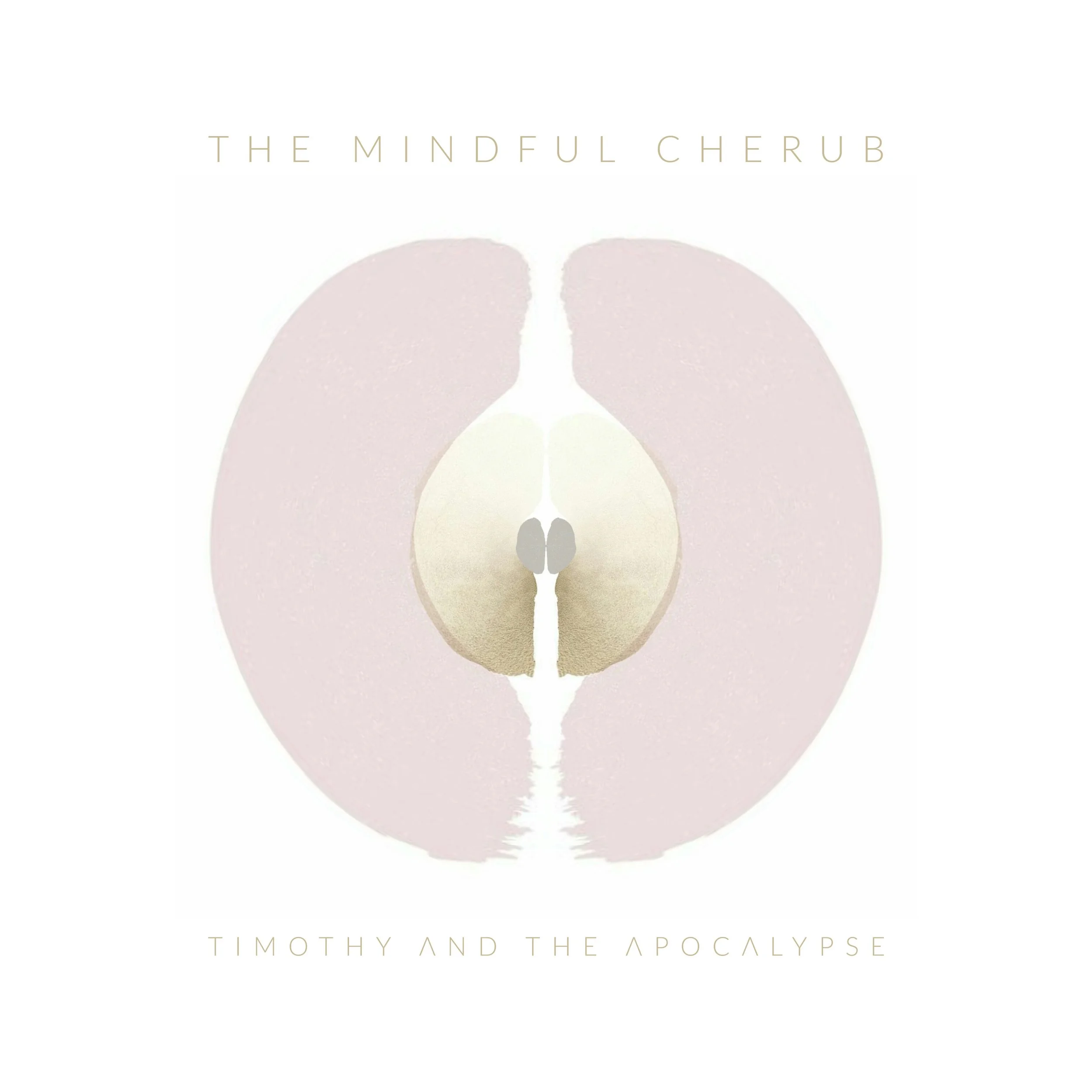 THE MINDFUL CHERUB REMIXES