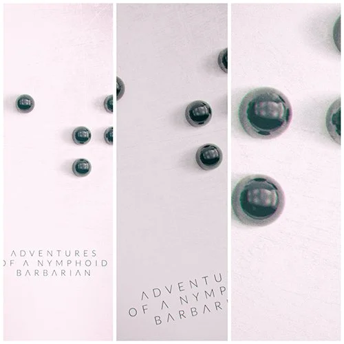 TIMOTHY AND THE APOCALYPSE SHOCKS OUR MINDS ALIVE WITH THE INCREDIBLE ‘ADVENTURES OF A NYMPHOID BARBARIAN – 9 THEORY REMIX’