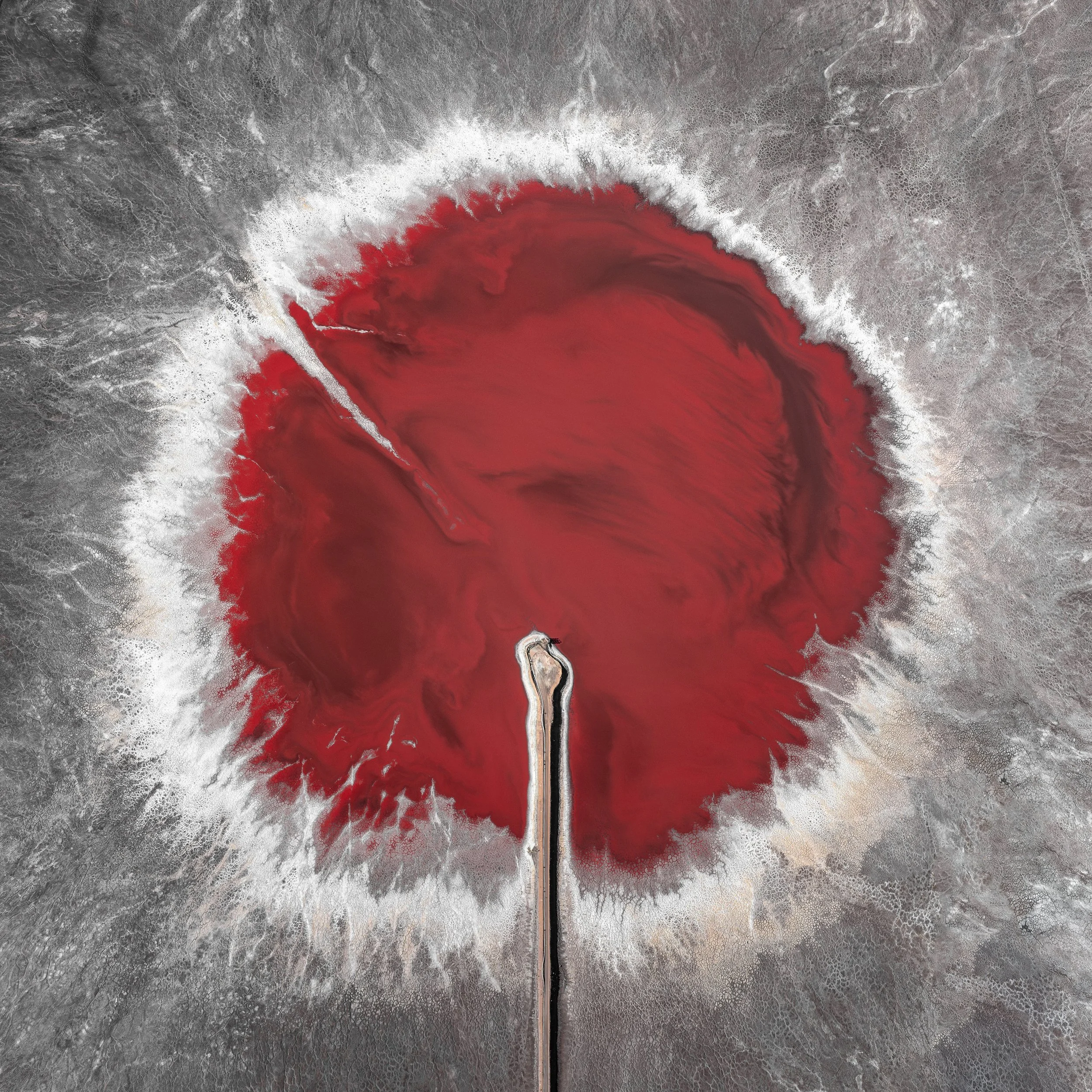 What If You Could Fly.jpg