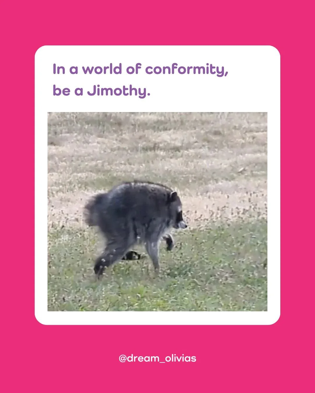 Friday&rsquo;s friendly advice, brought to you by internet sensation Jimothy. 🦡

Remember, there&rsquo;s no one like you&mdash;and that's your superpower! Embrace what makes you different, be proud of who you are, and always be yourself. ❤️