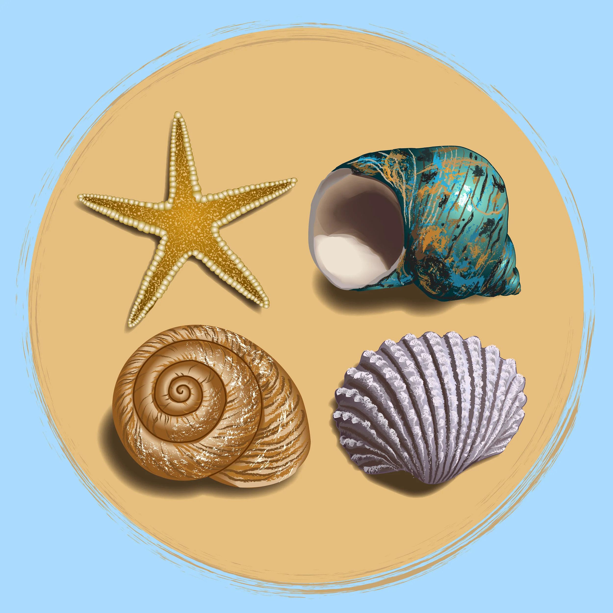 Seashore Sequence Shells.jpg