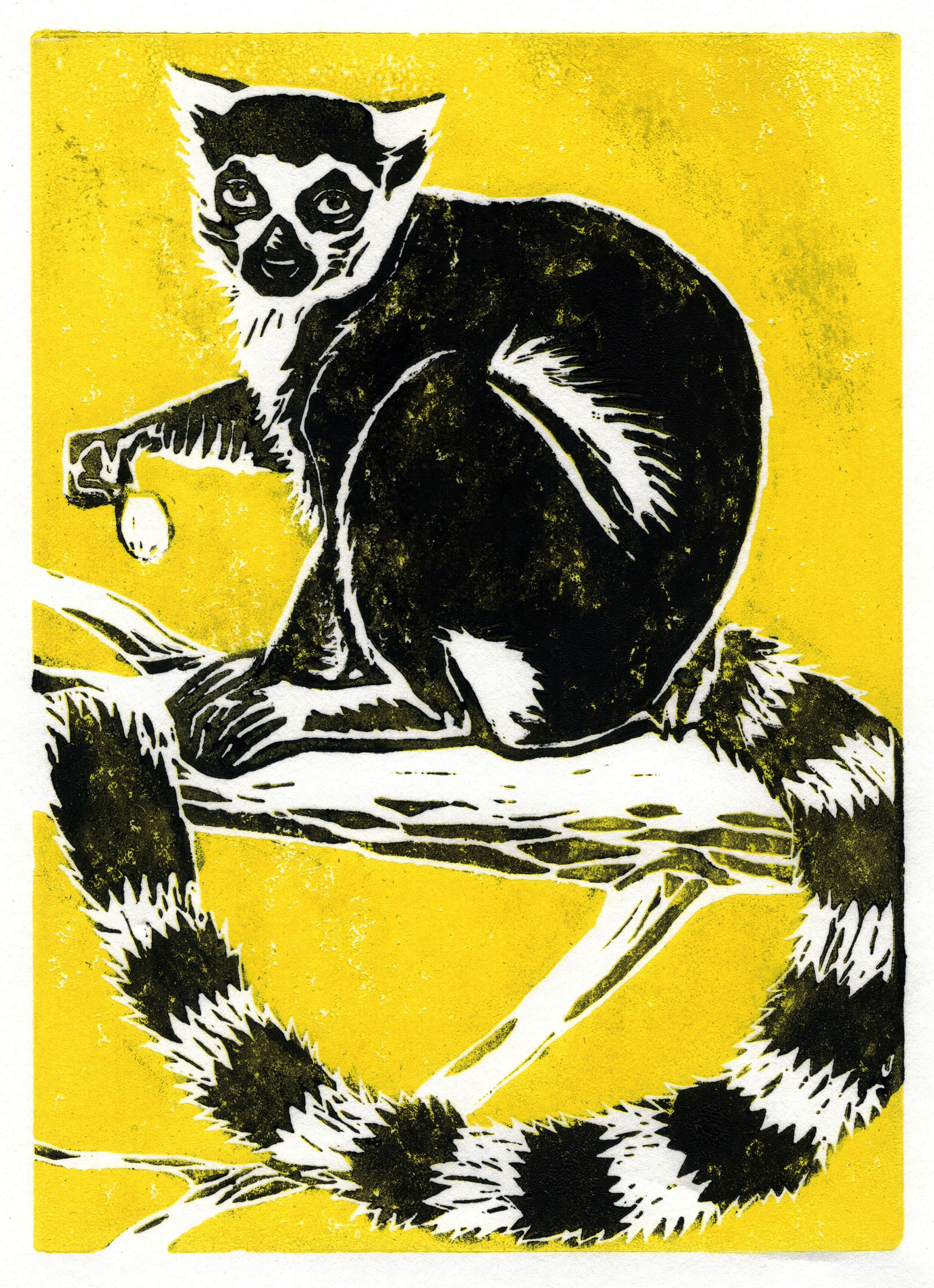 Print Ring-Tailed Lemur Yellow.jpg