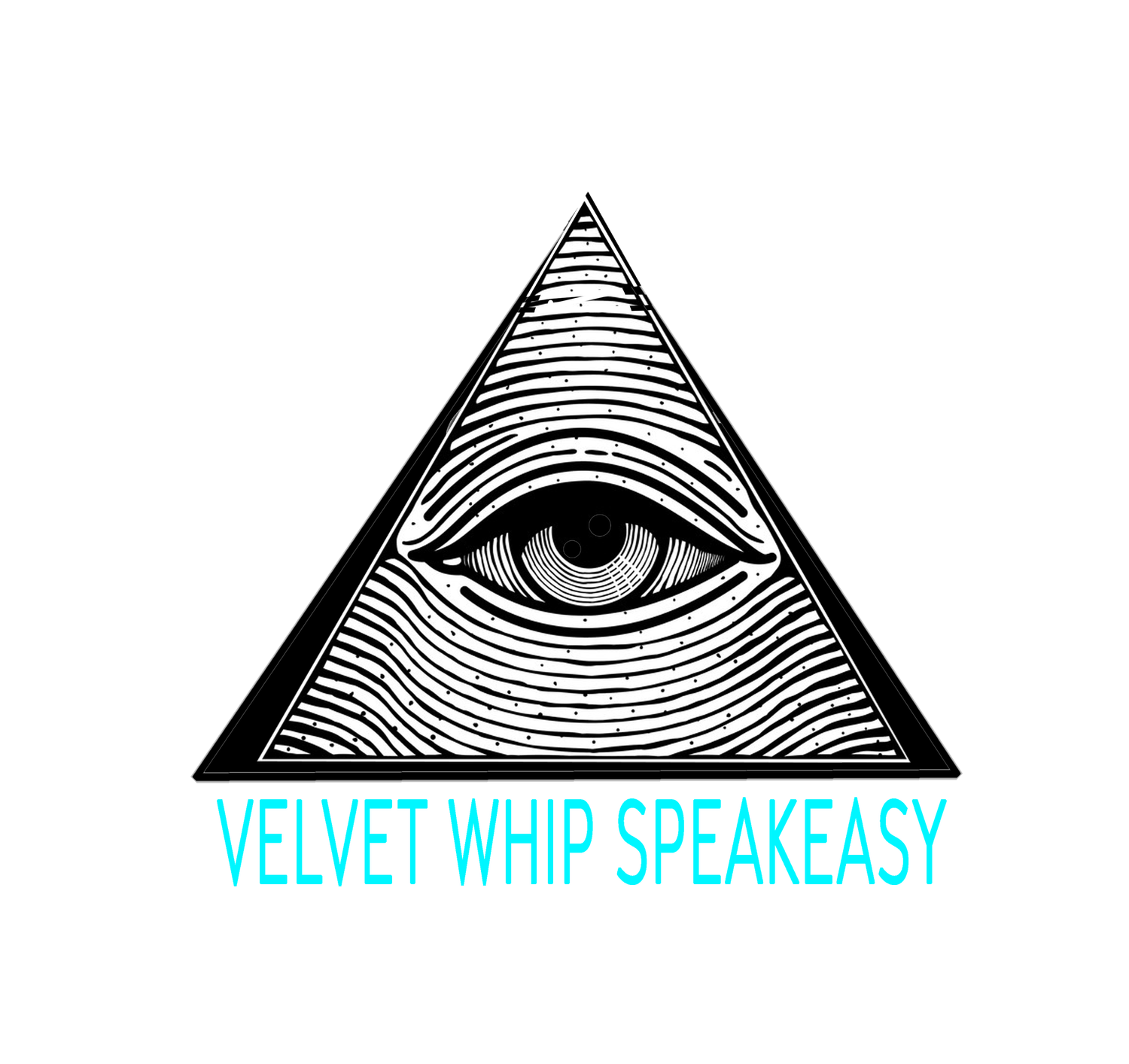 MISSION — The Velvet Whip