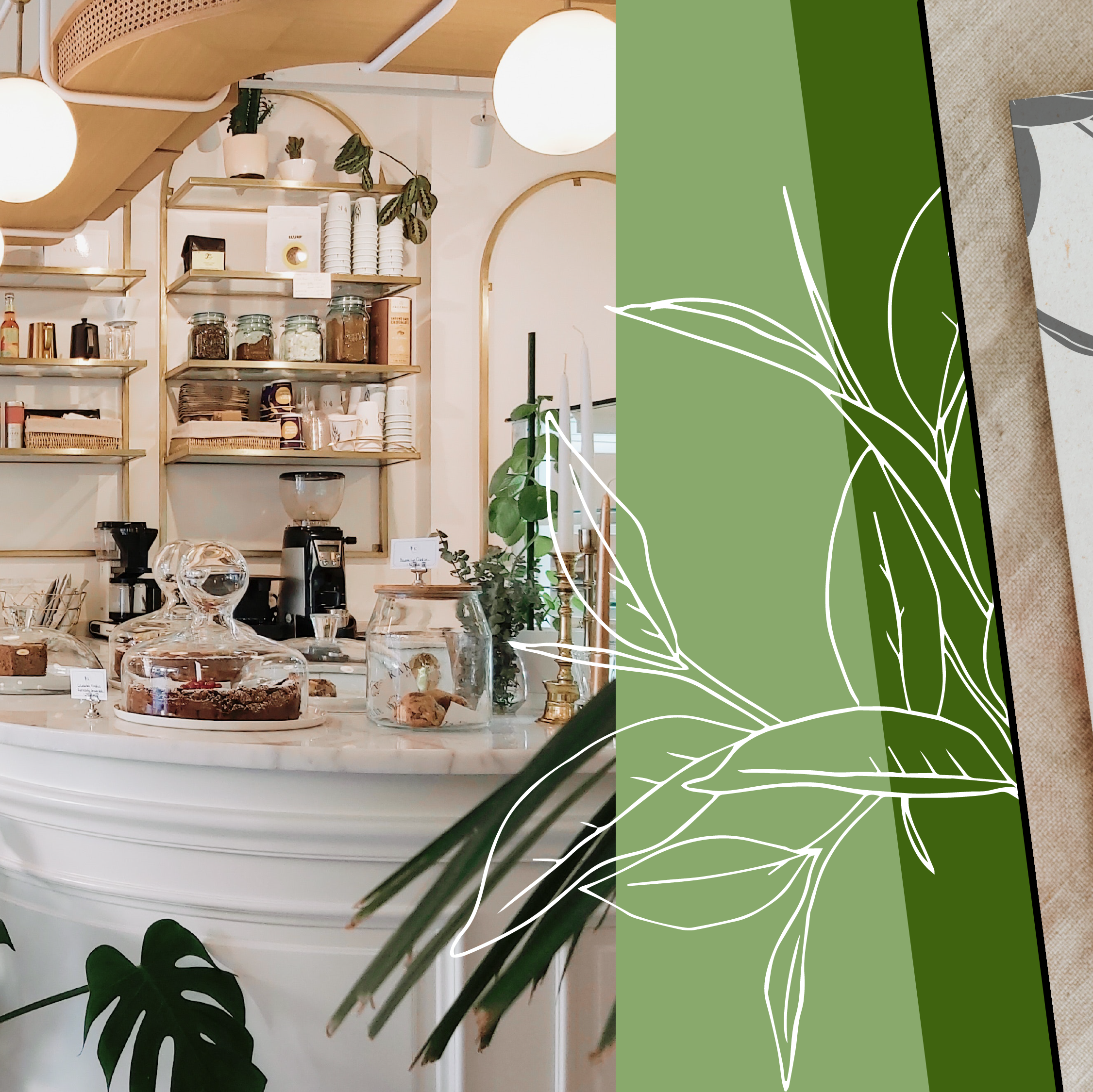 Matcha Muse-05.png