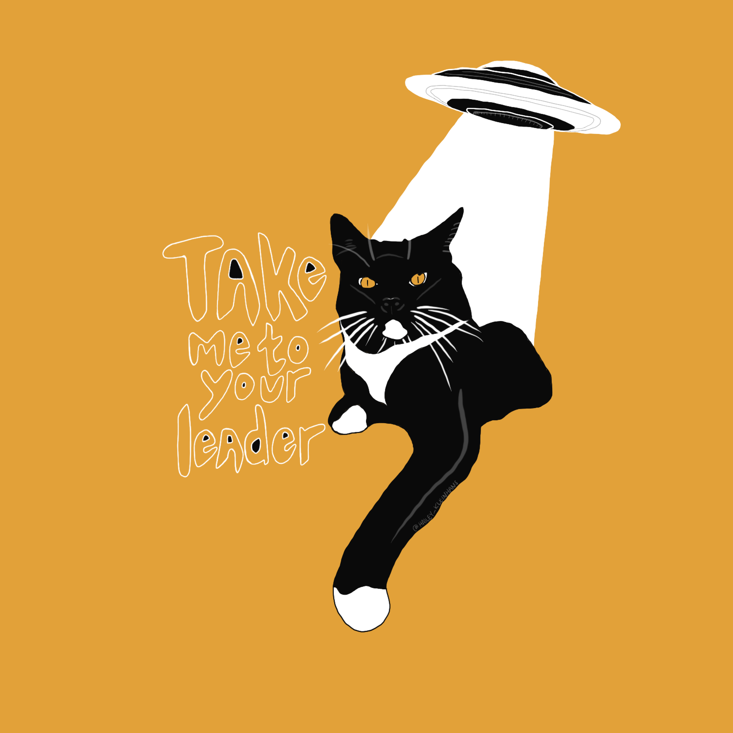Untitled_Artwork 17.png