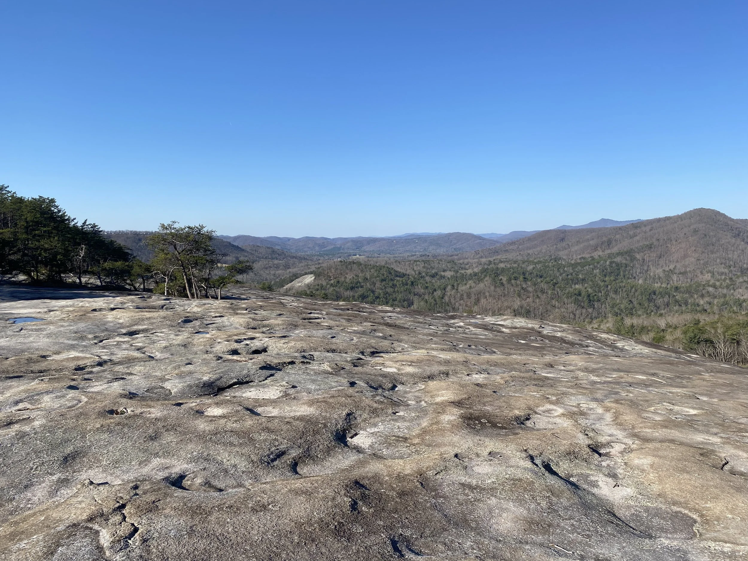 Wolf Rock