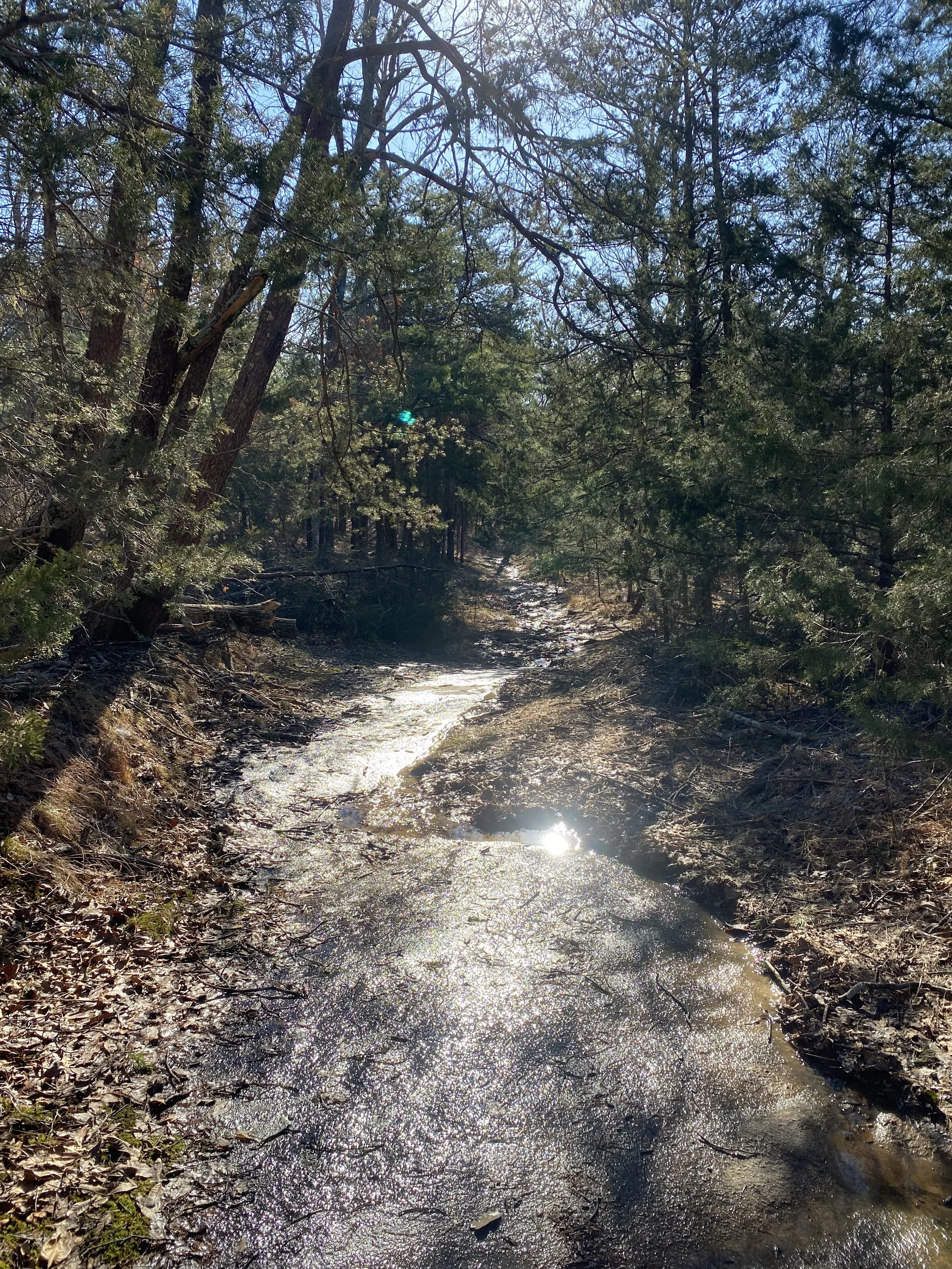 Wolf Rock to Cedar Rock Trail