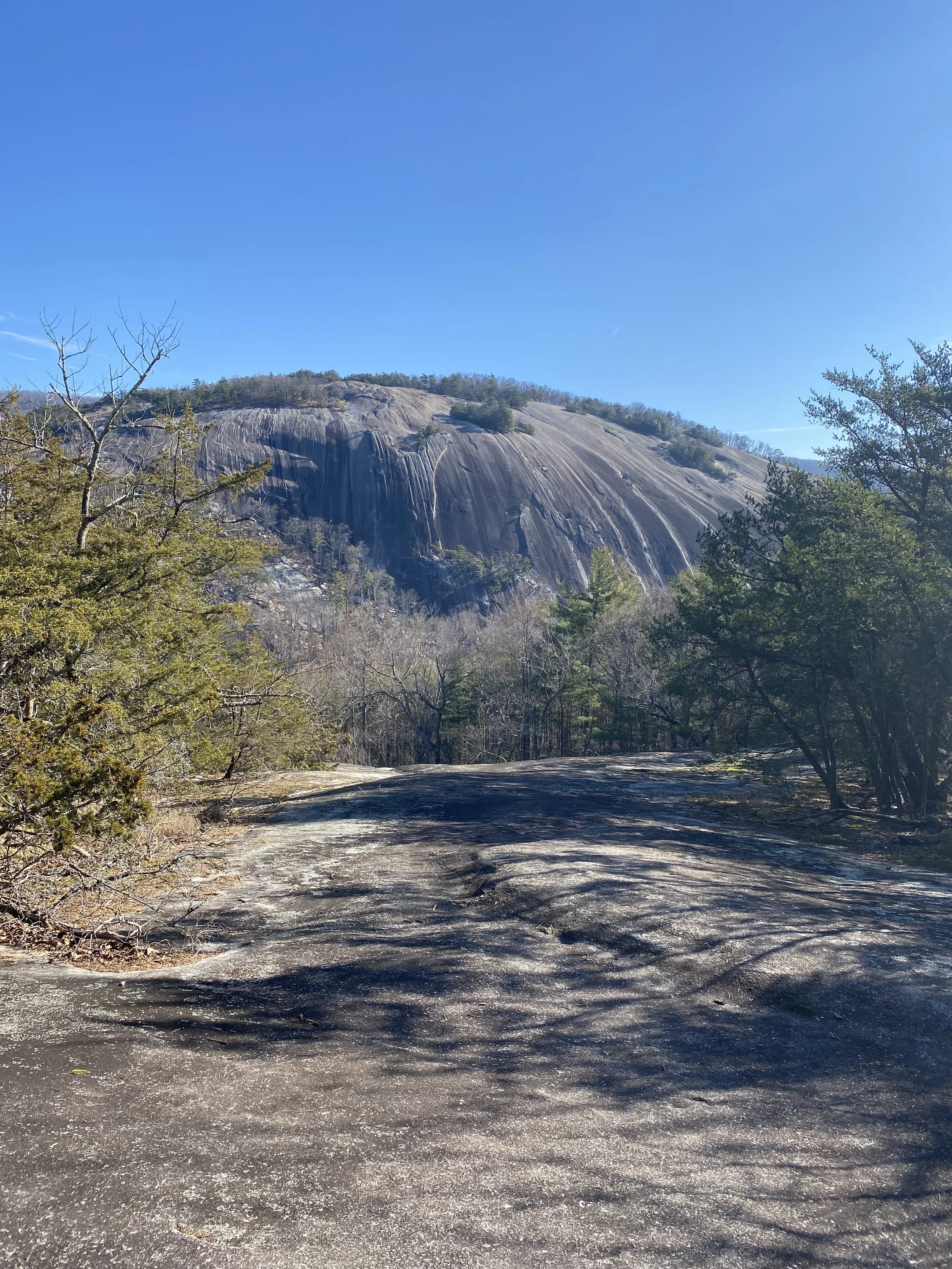 Cedar Rock View