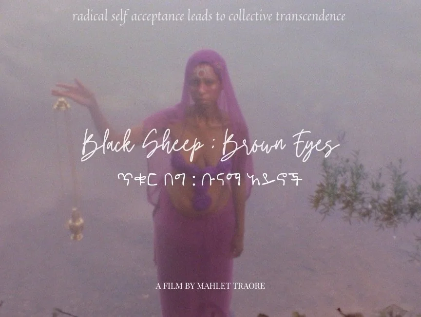 Black Sheep : Brown Eyes ጥቁር በግ : ቡናማ አይኖች