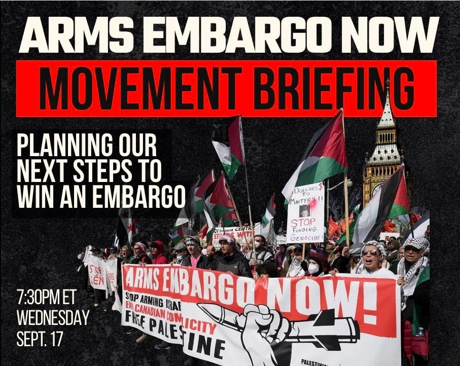 Movement Briefing: Planning our next steps to win an arms embargo
