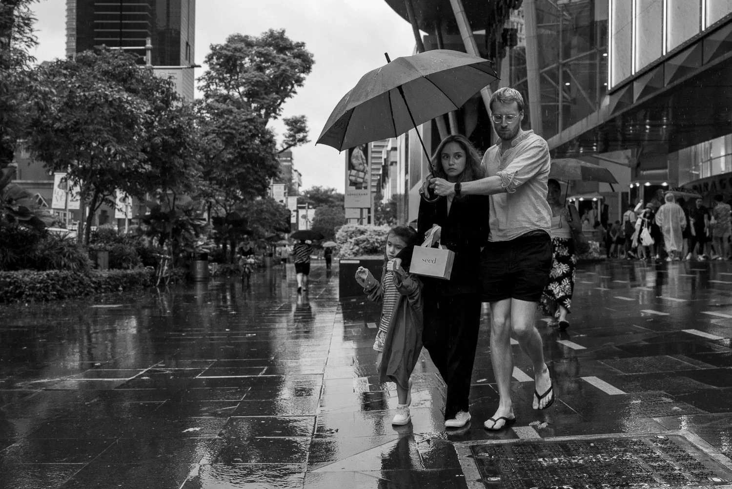 Caring - Mar 2023 (S17871)