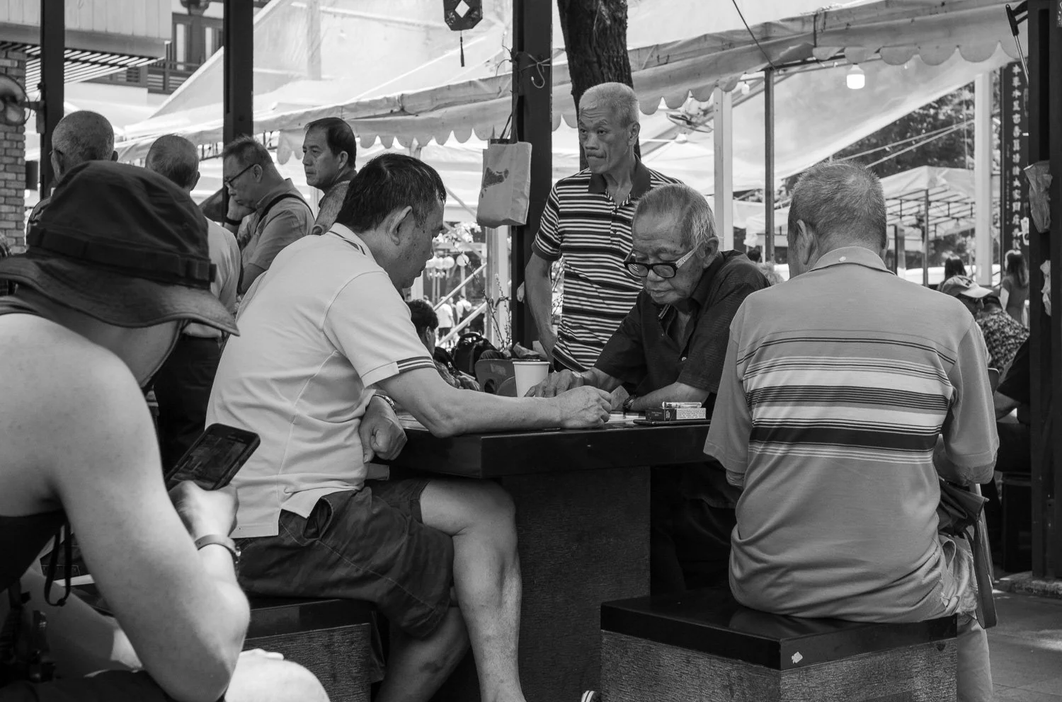 Playing Chess - Feb 2025 (L42641)