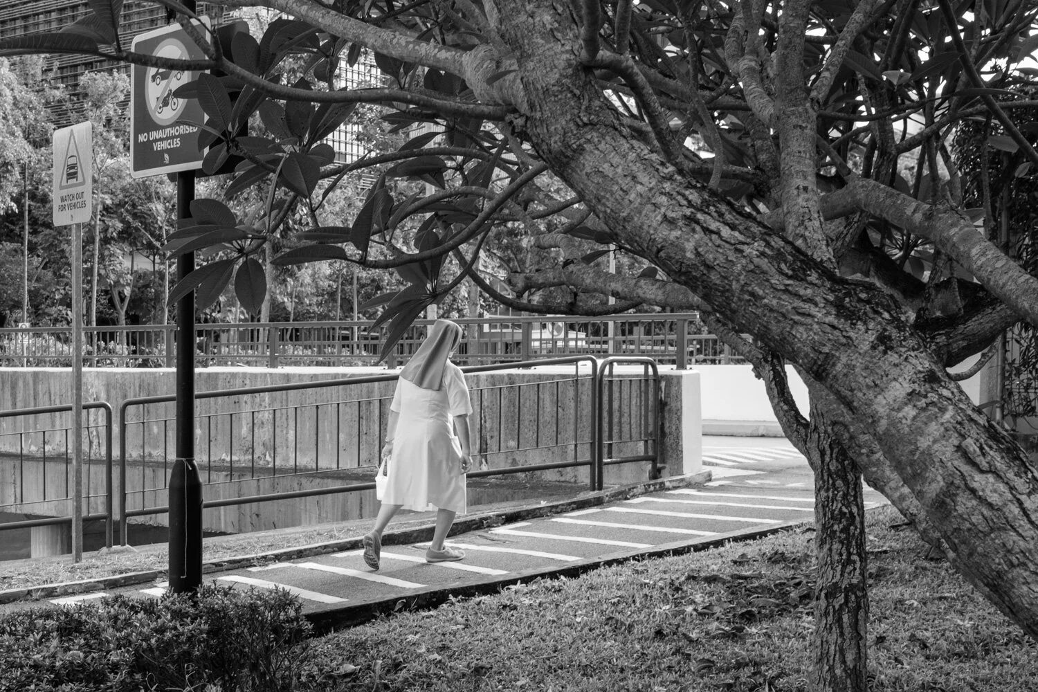 Going back - May 2021 (F01927)