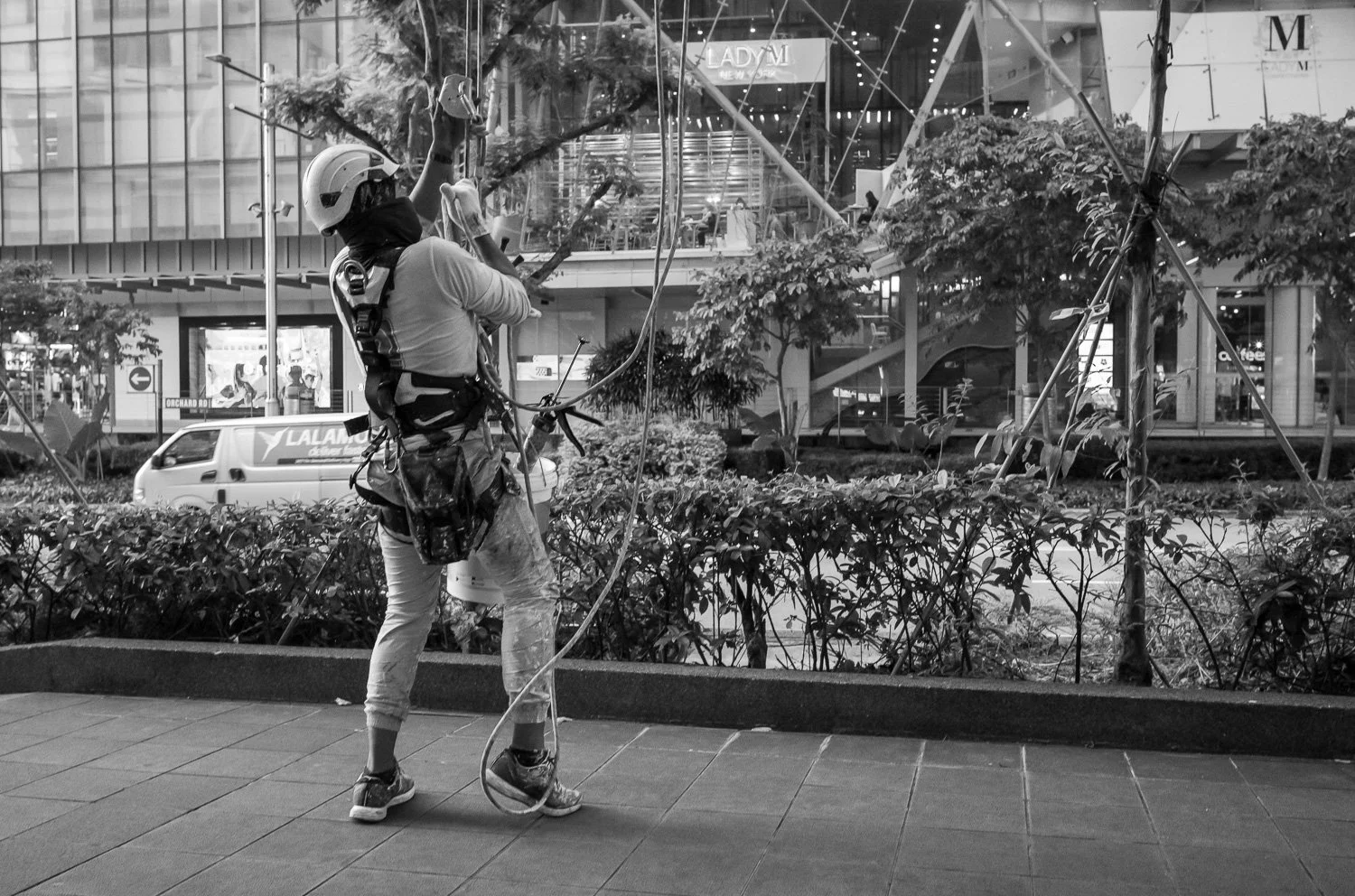 Up or down - Mar 2023 (L31304)