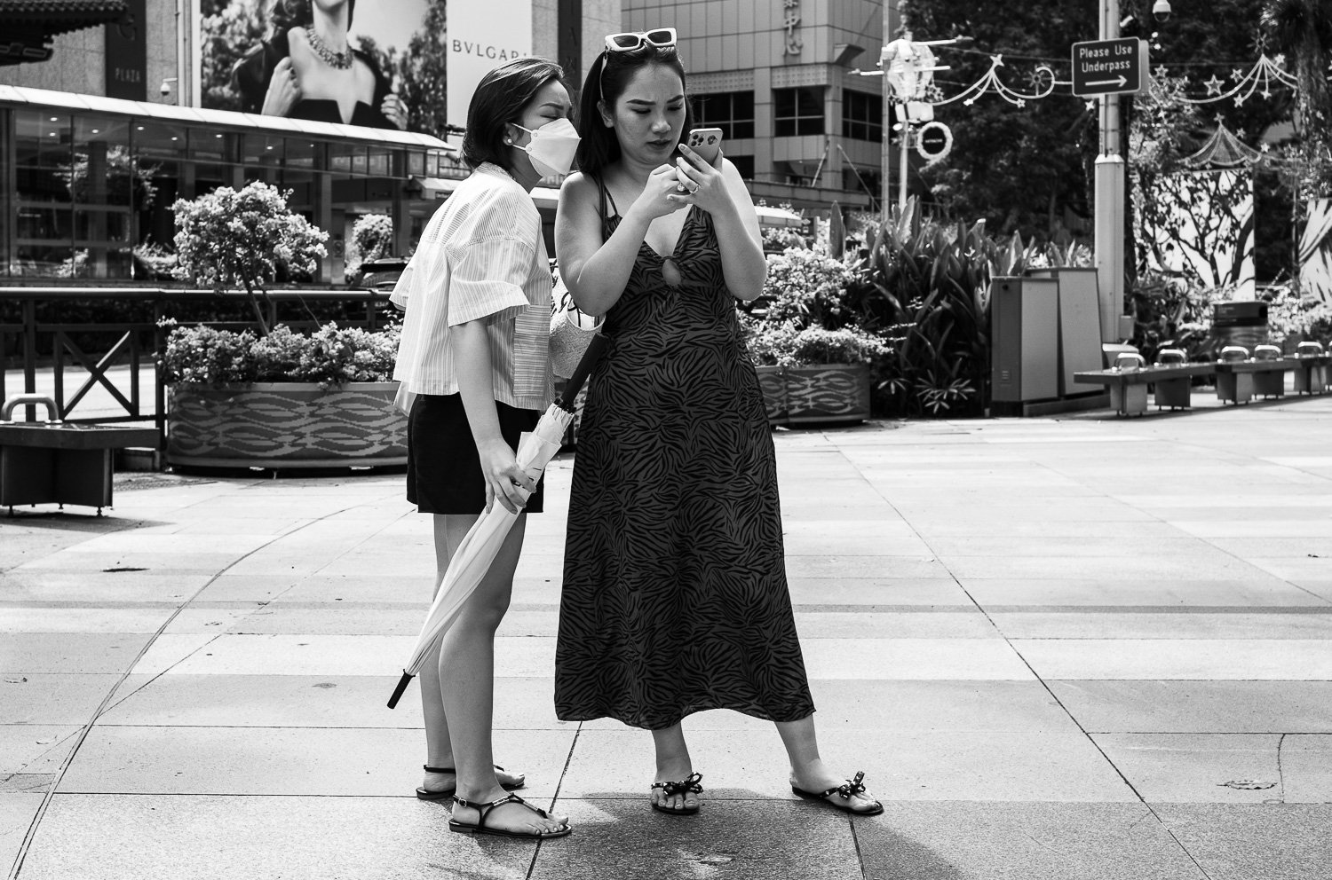 Sharing - Jun 2022 (L20533)